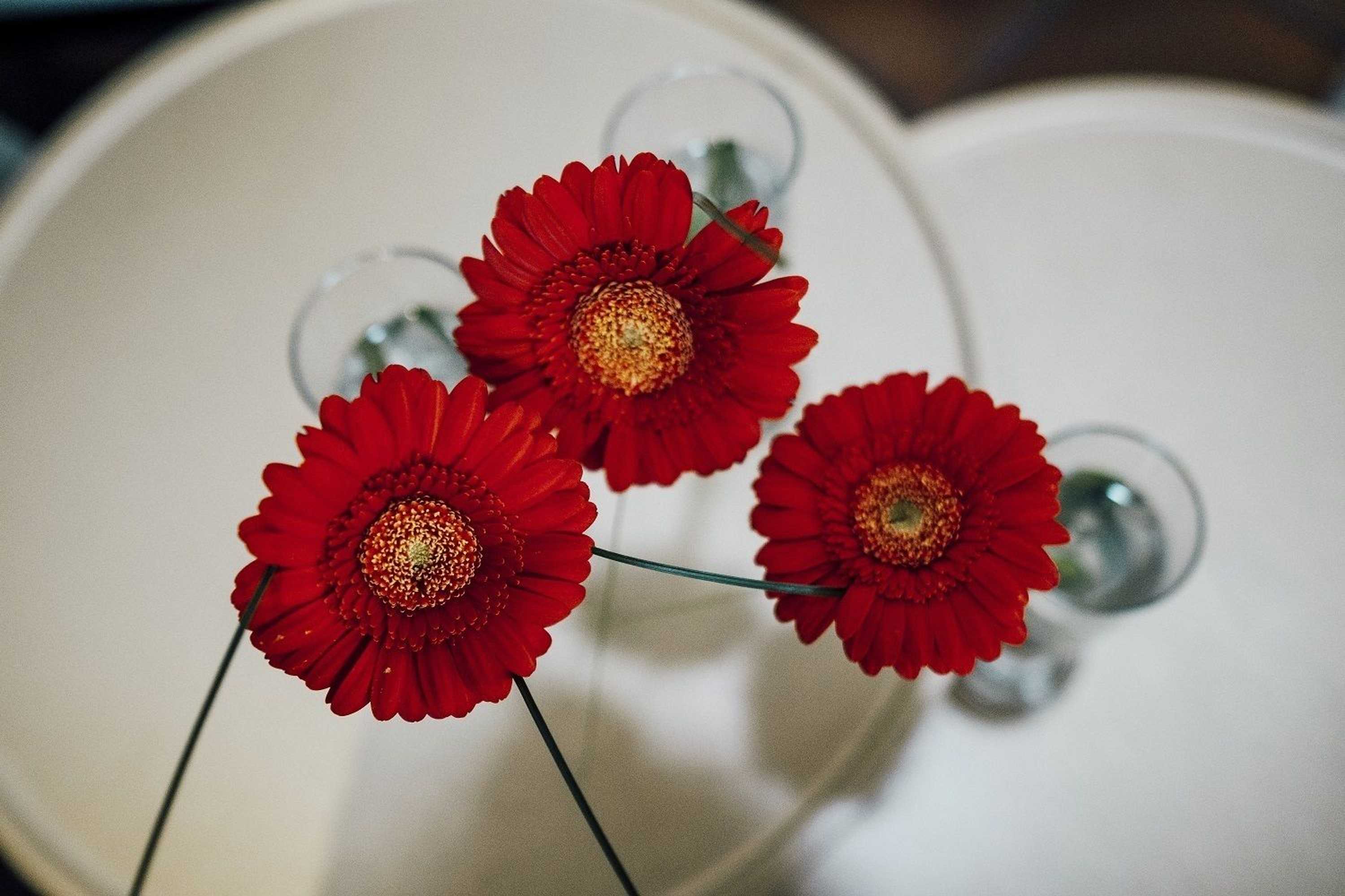 Gift card for Ratskeller Wiedenbrück