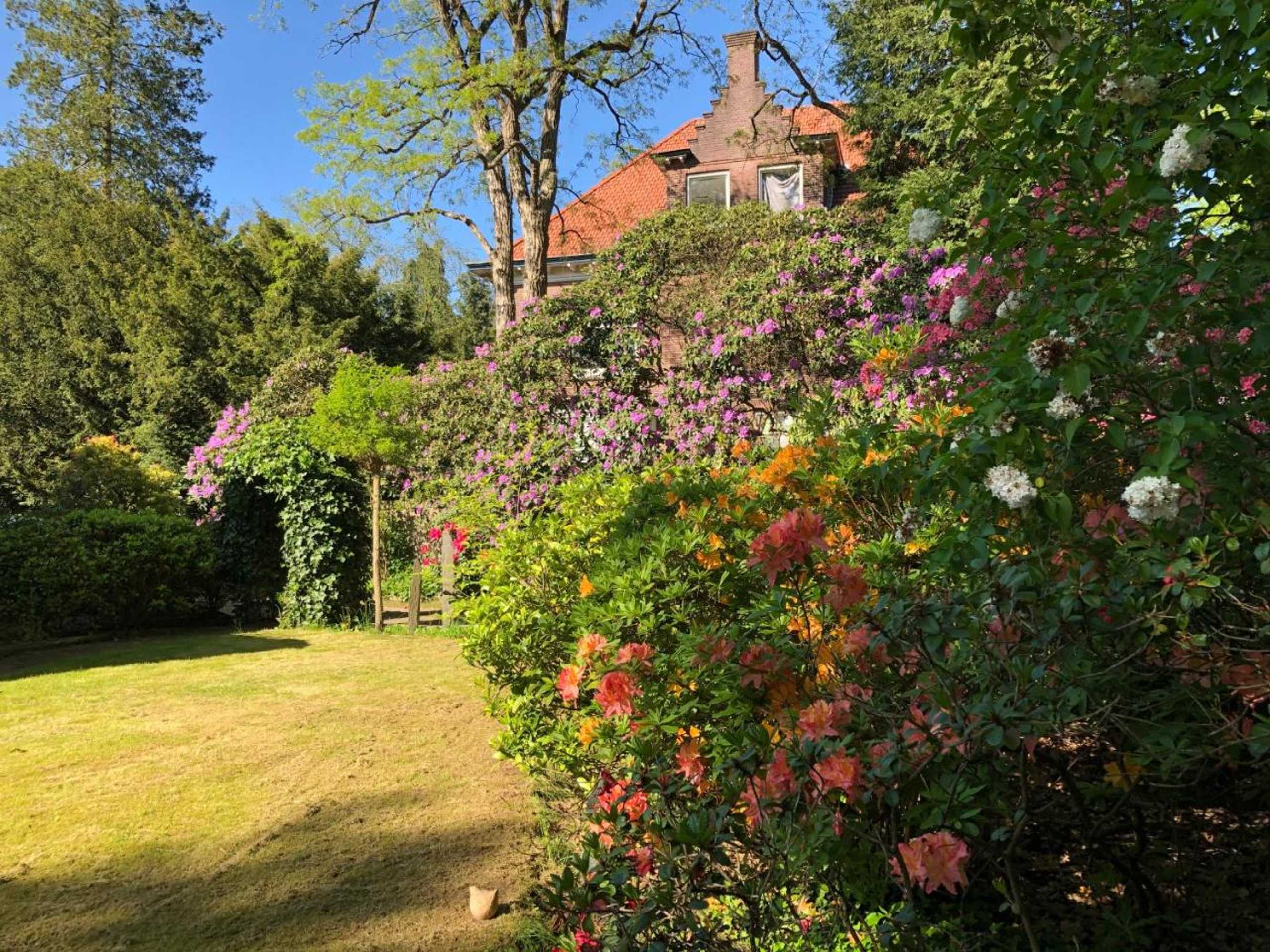 Gift card for Modern Palace B&b Emma Staete