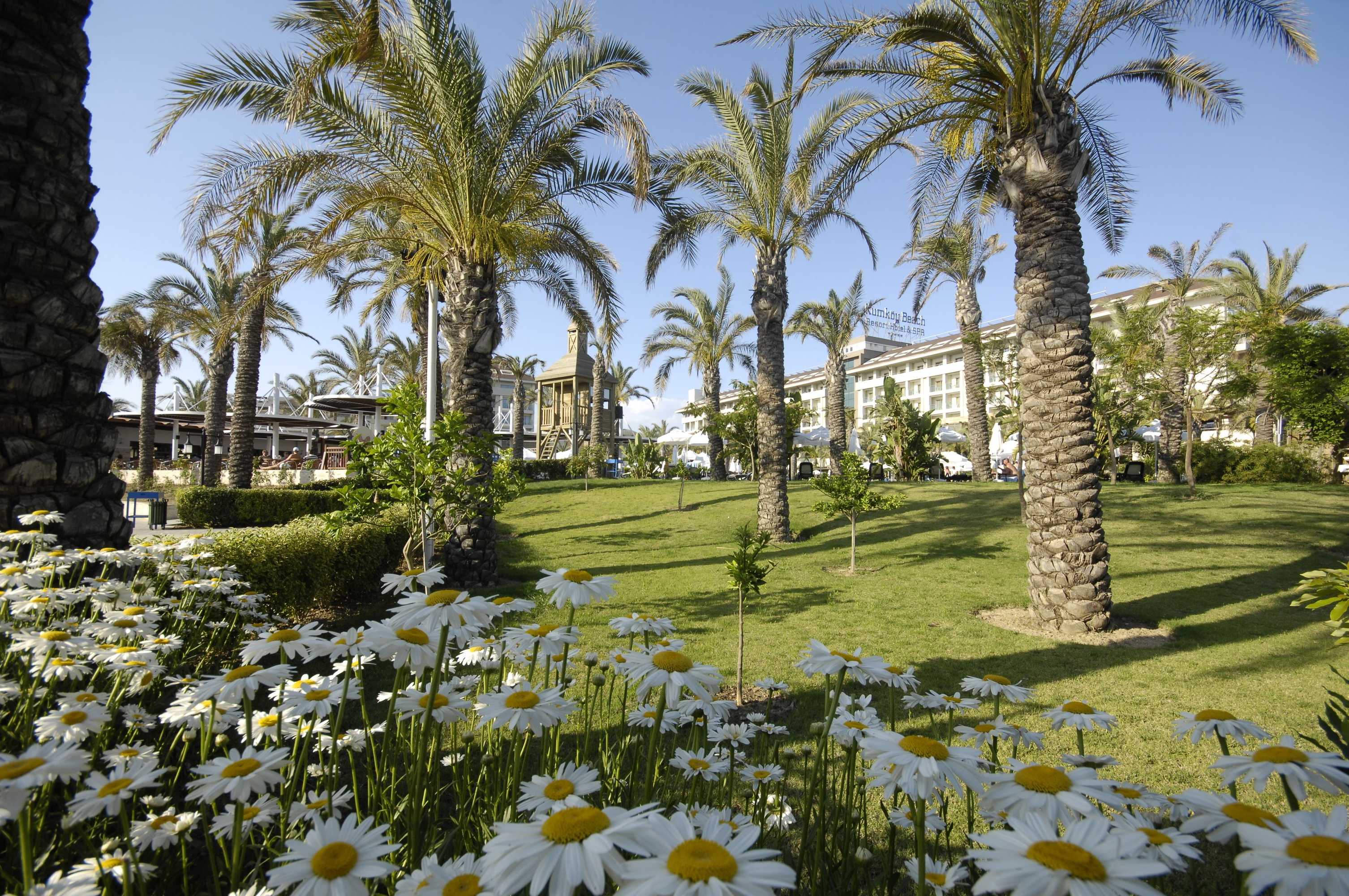 Gift card for Sunis Kumköy Beach Resort Hotel & Spa - All Inclusive Gift card for Sunis Kumköy Beach Resort Hotel & Spa - All Inclusive