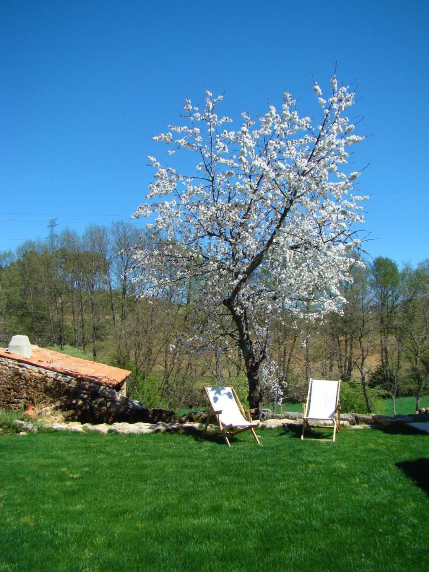 Gift card for Quinta de Seves