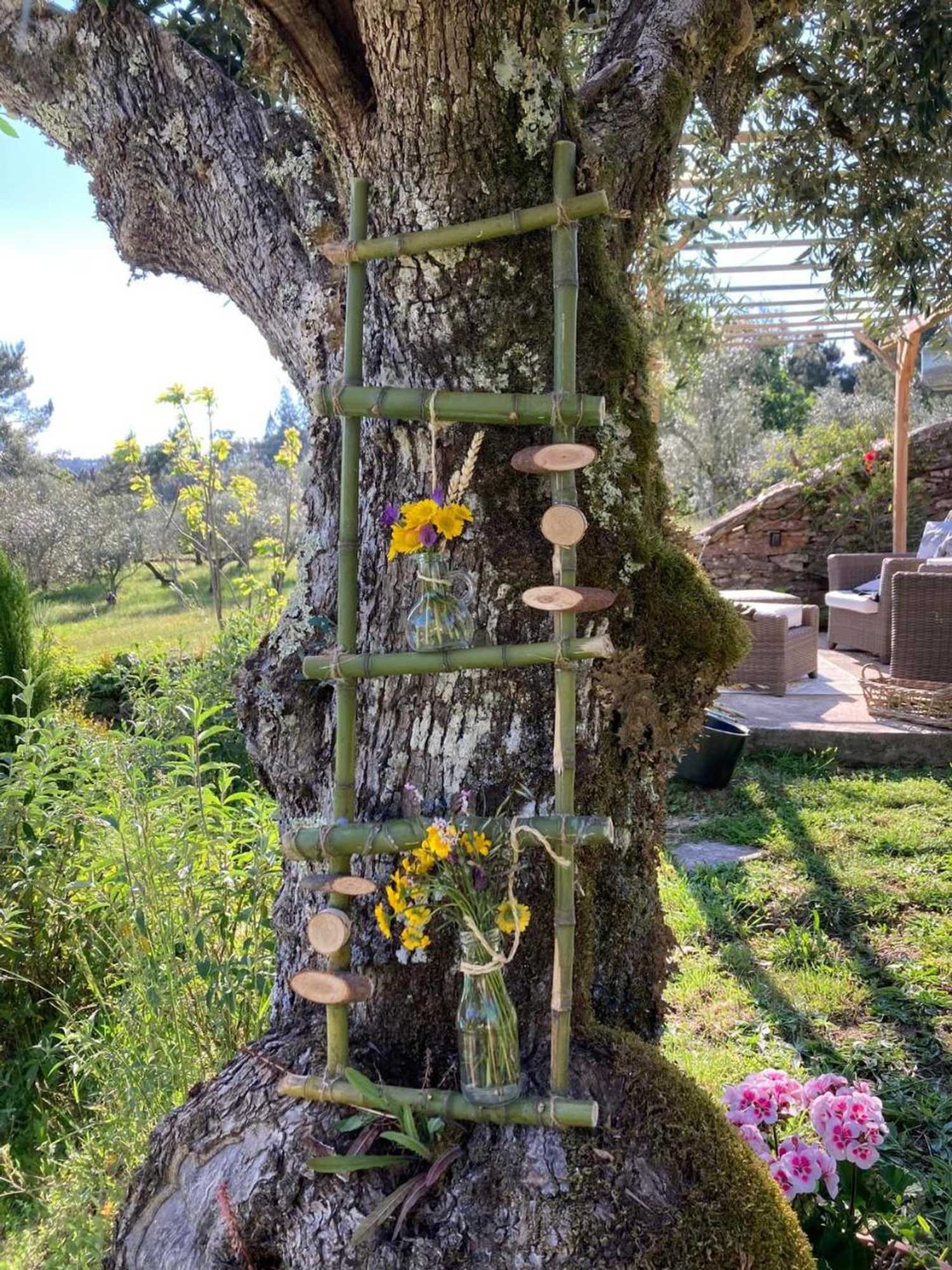 Gift card for Bed & Breakfast Porturama