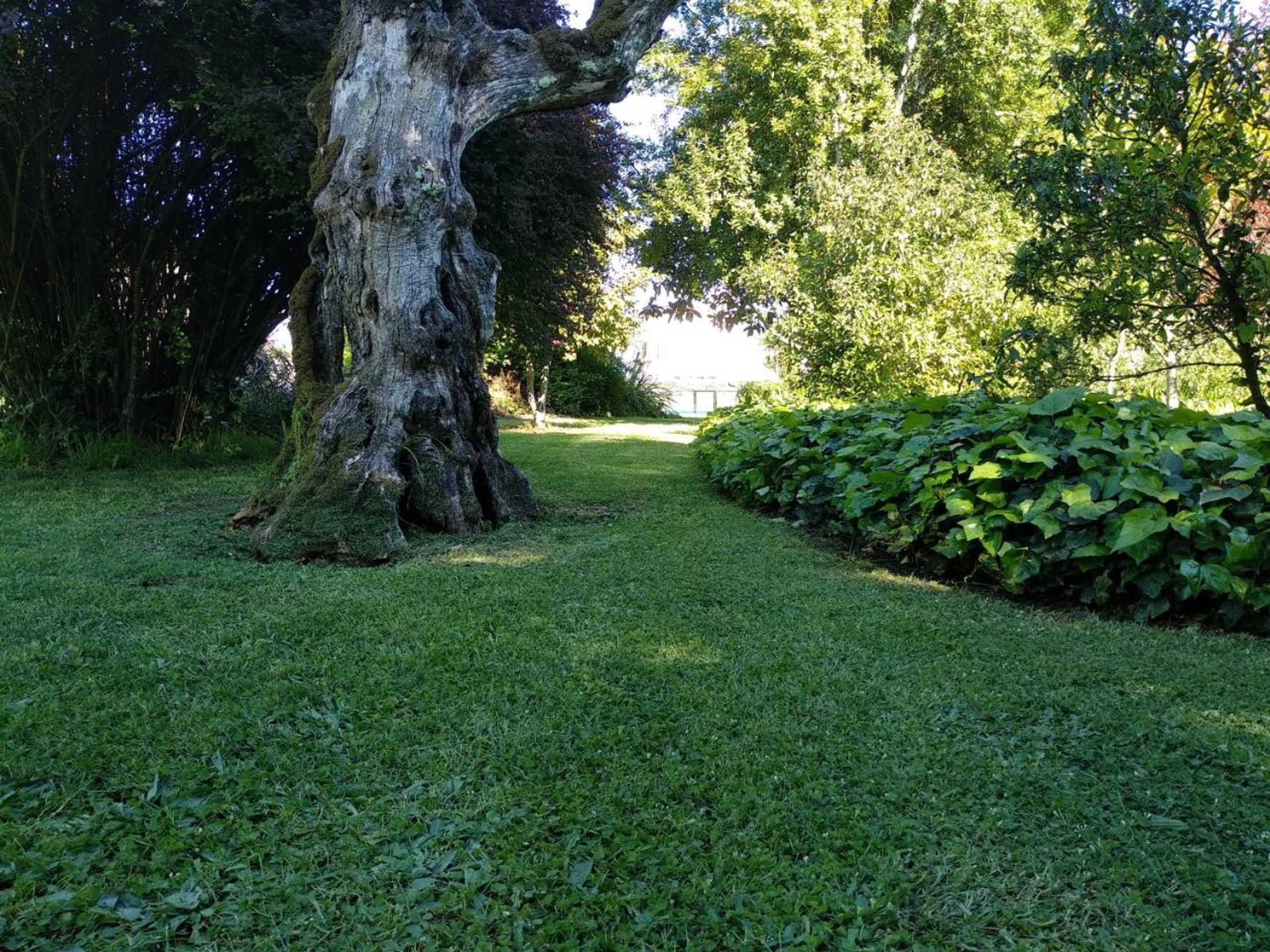 Gift card for Casas Do Zagao