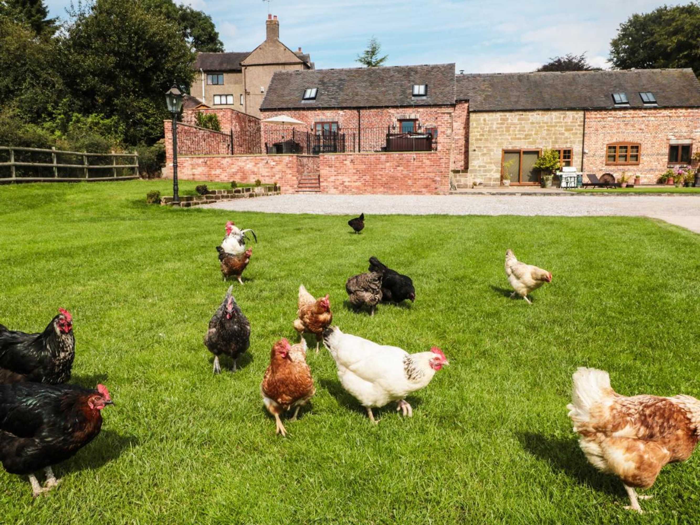 Gift card for Manor Barn