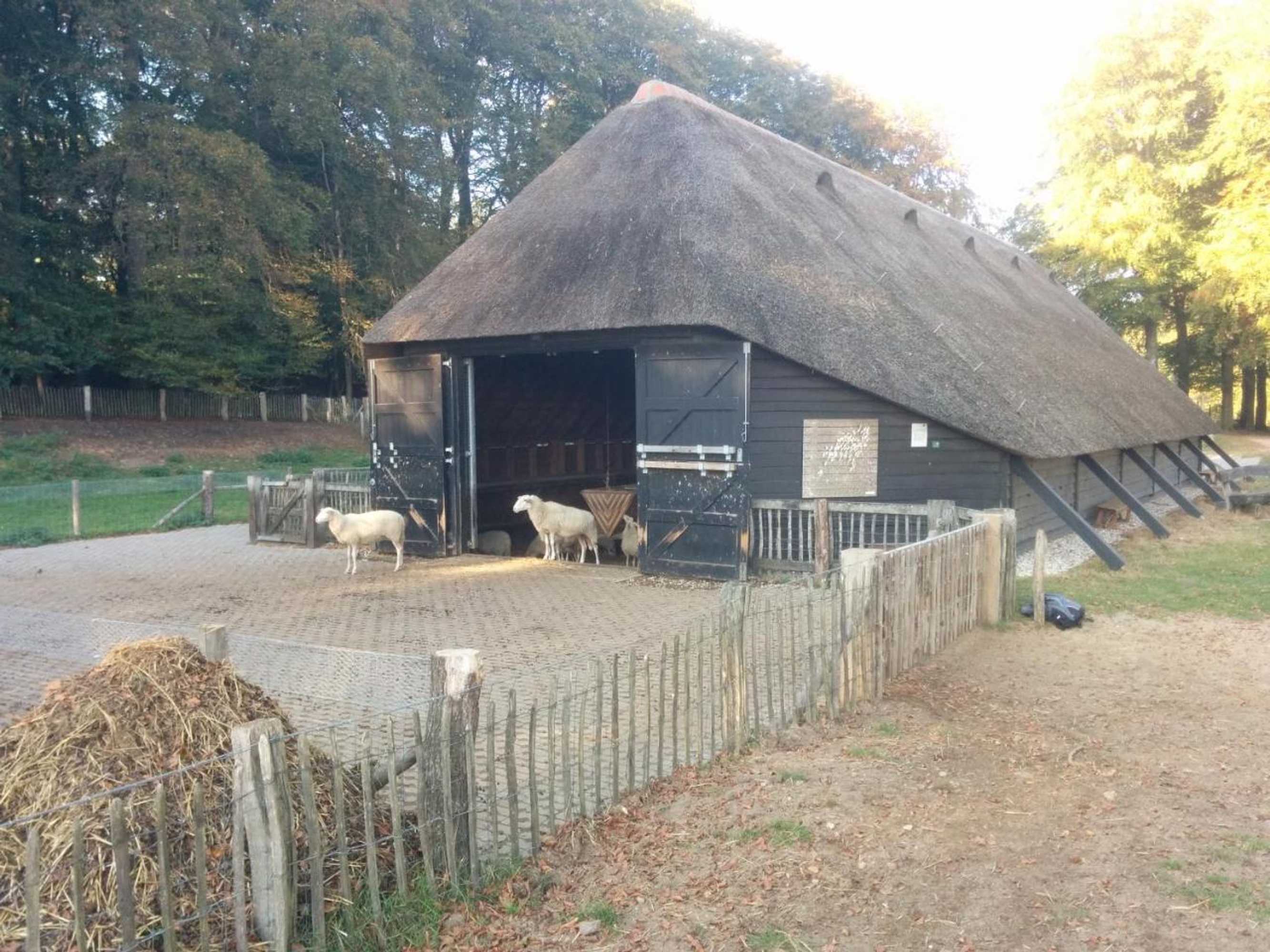 Gift card for Chalet Hoenderloo Beuk