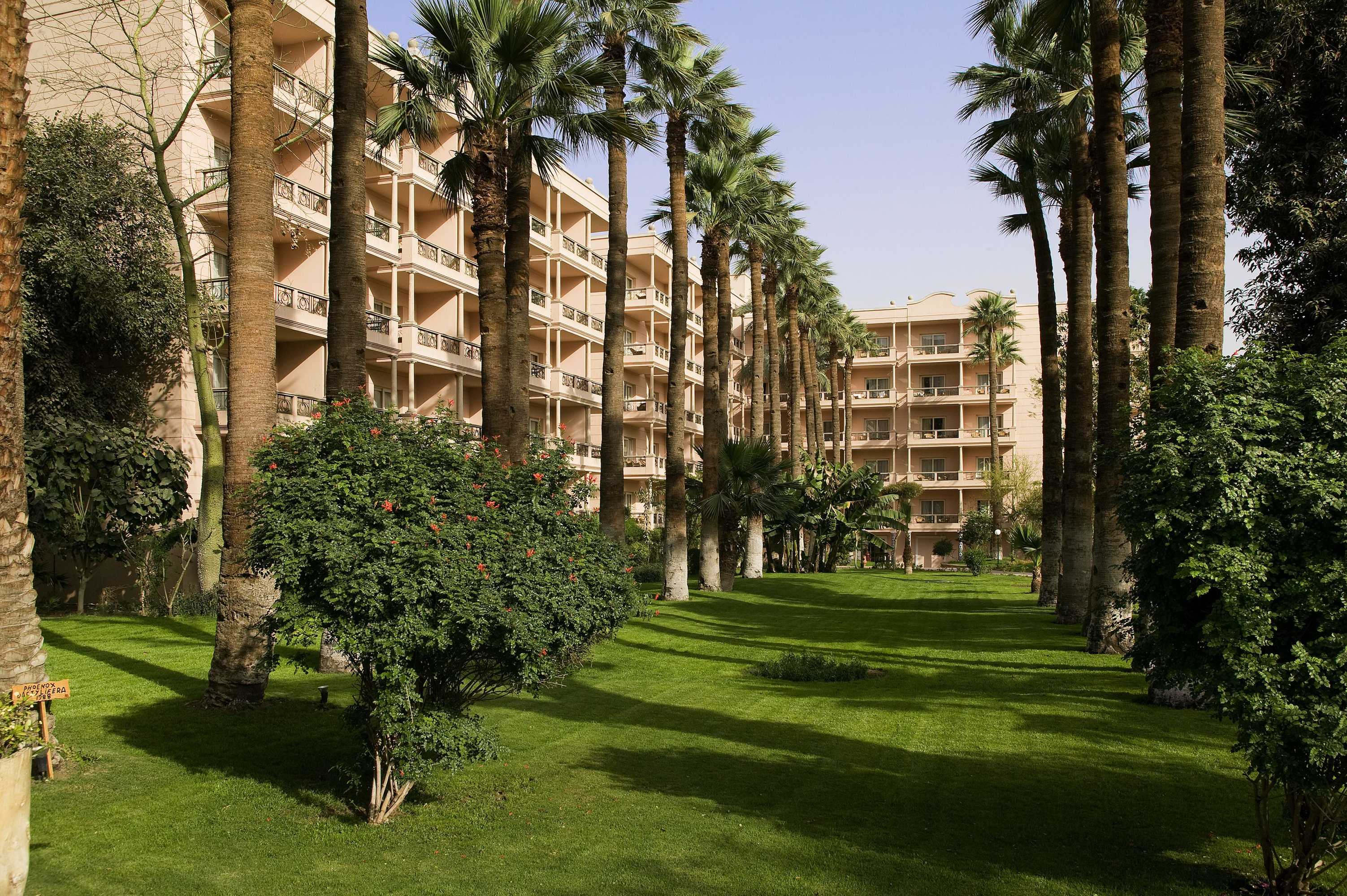 Gift card for Pavillon Winter Luxor Gift card for Pavillon Winter Luxor