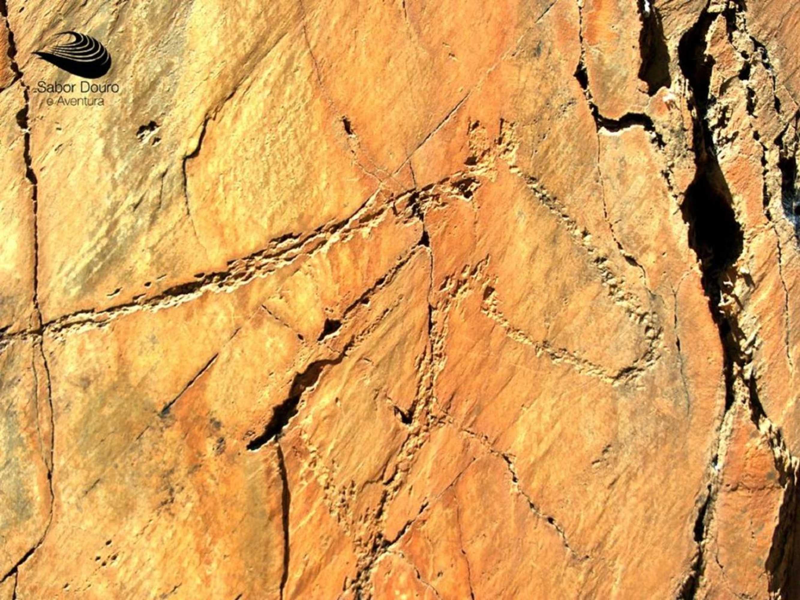 Gift card for Casa Da Avo - Turismo De Habitacao