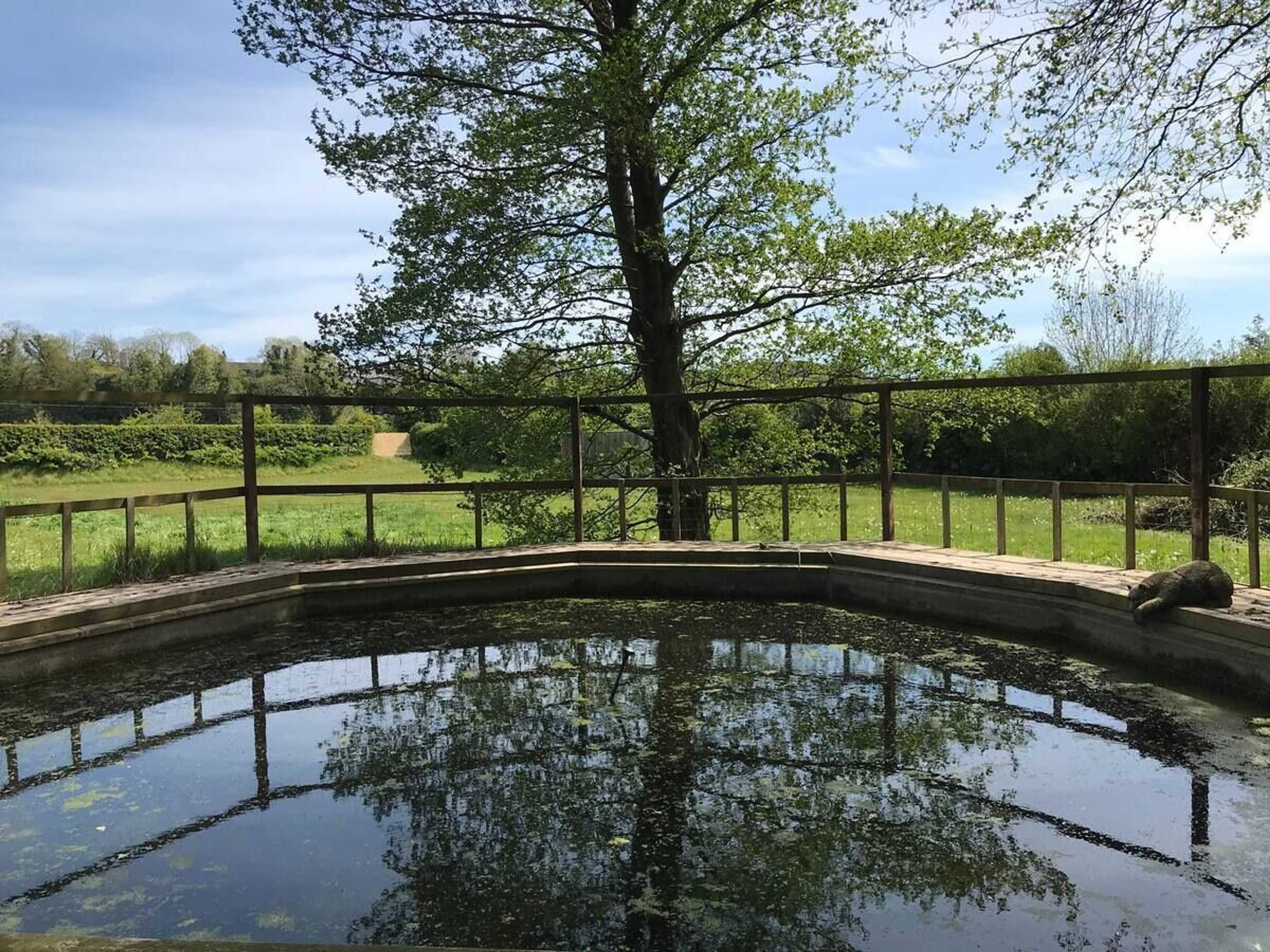 Gift card for Inch Schoolhouse - Event Residence