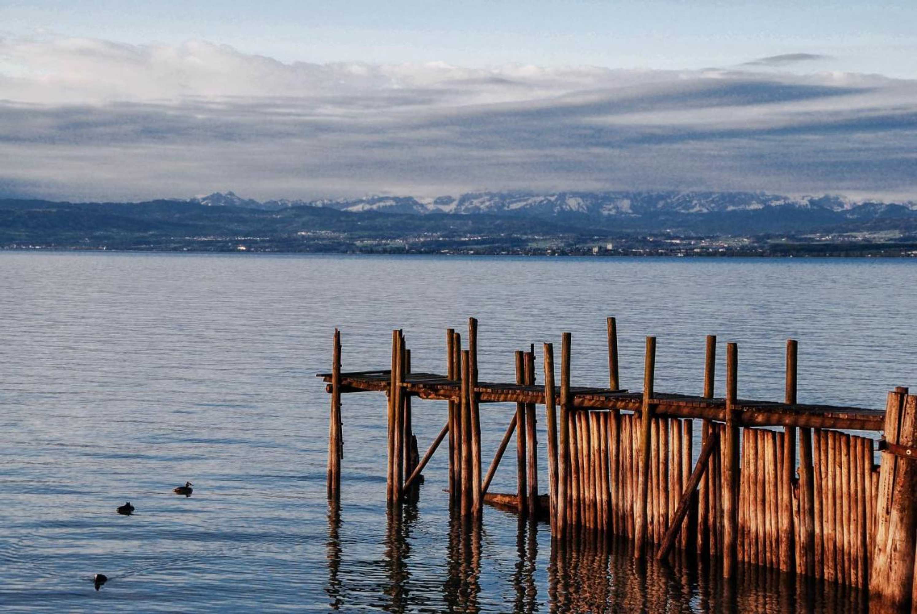 Gift card for Birkhofer See Genießen - Aparthotel am Bodensee Gift card for Birkhofer See Genießen - Aparthotel am Bodensee