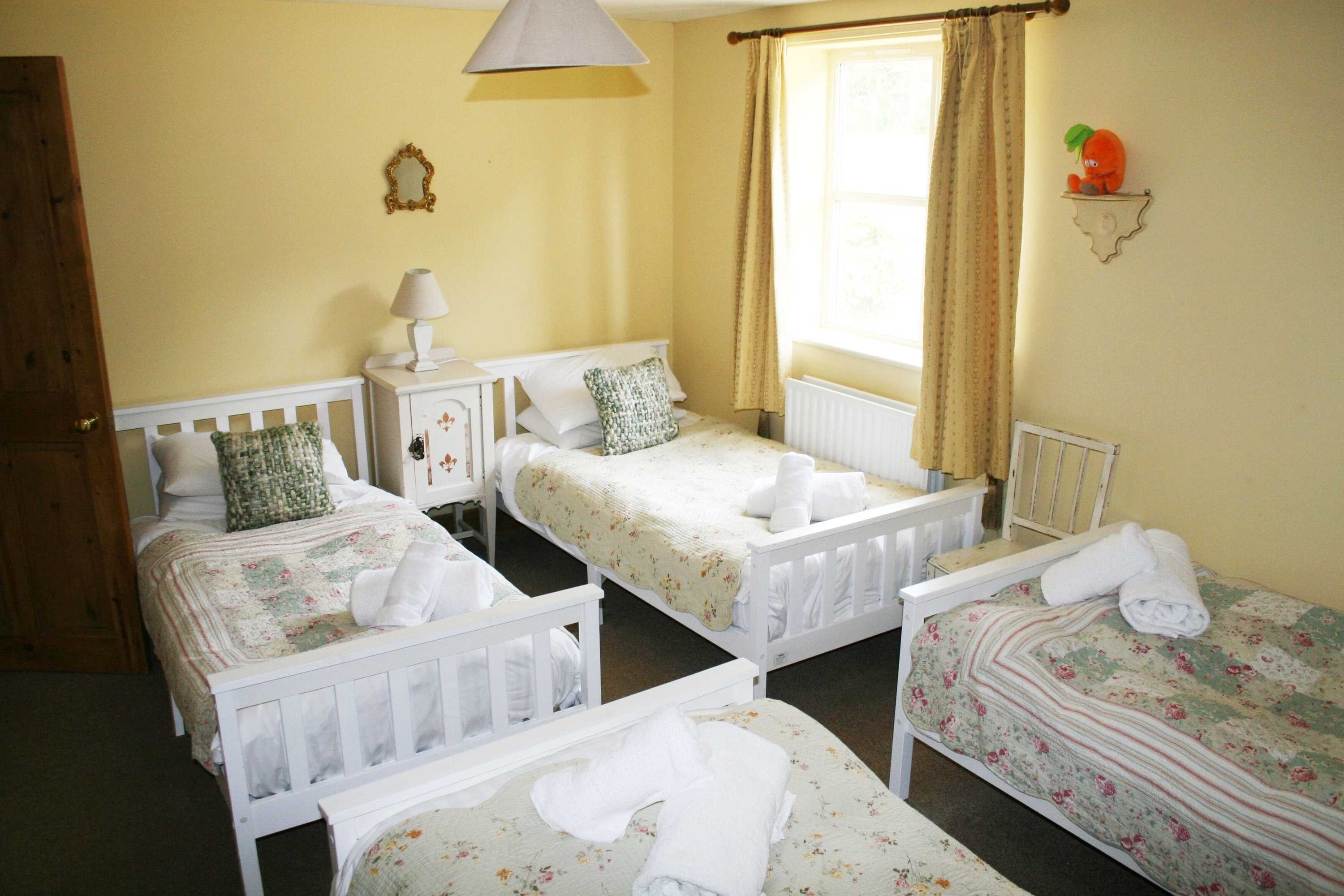 Gift card for Broccoli Bottom