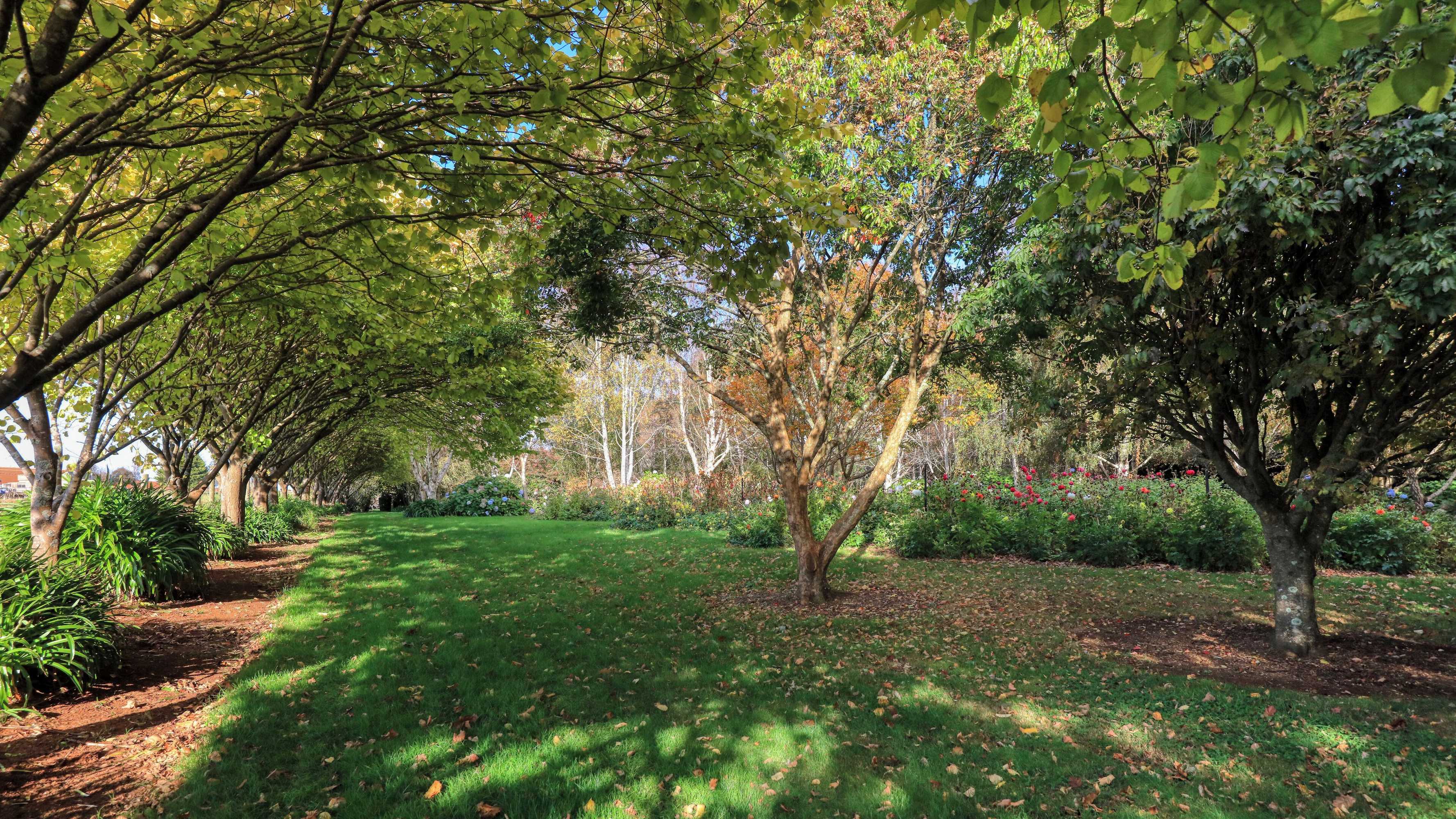 Gift card for Boat Harbour Garden Cottages