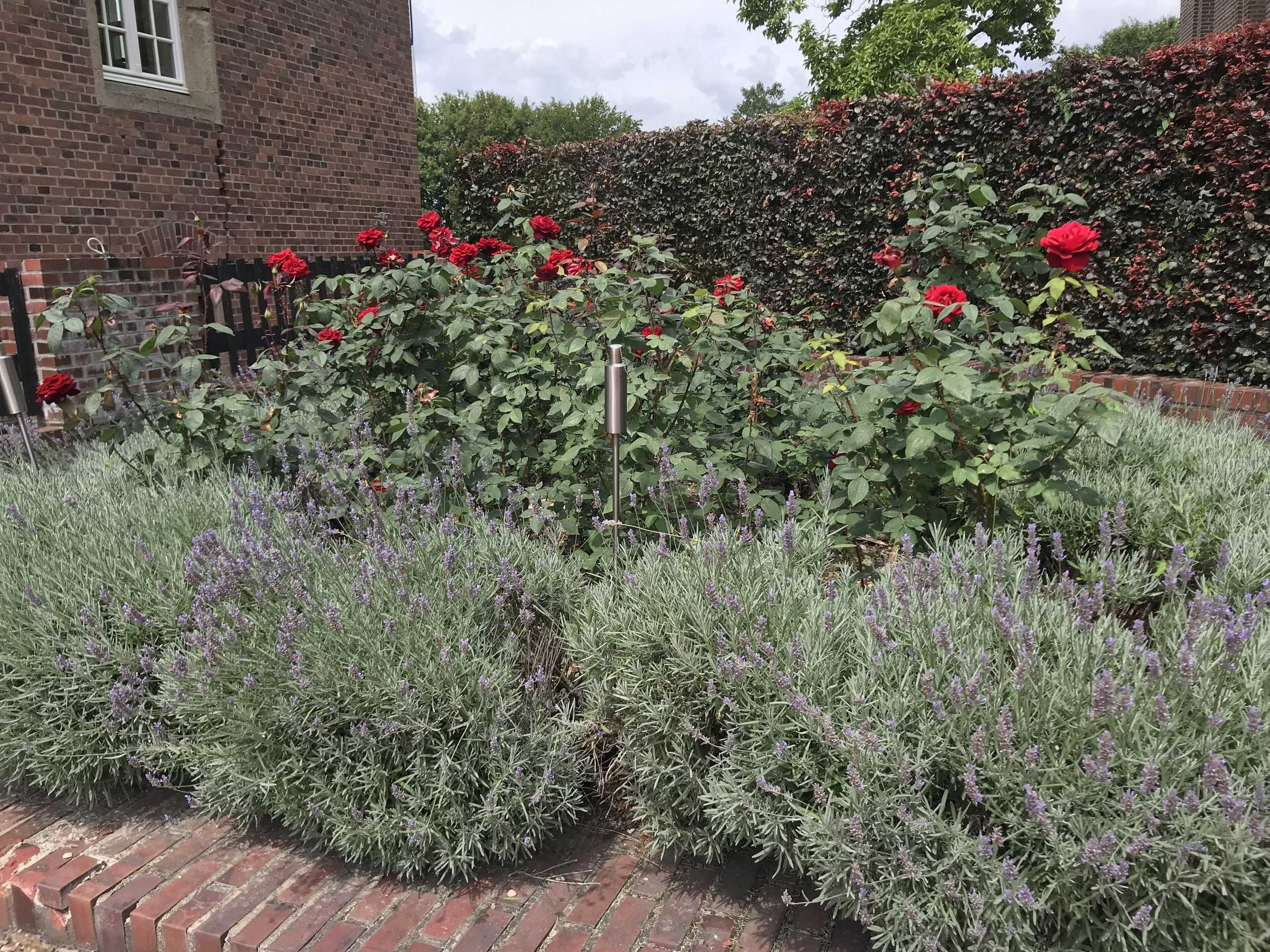 Gift card for Schlosshotel Diersfordt