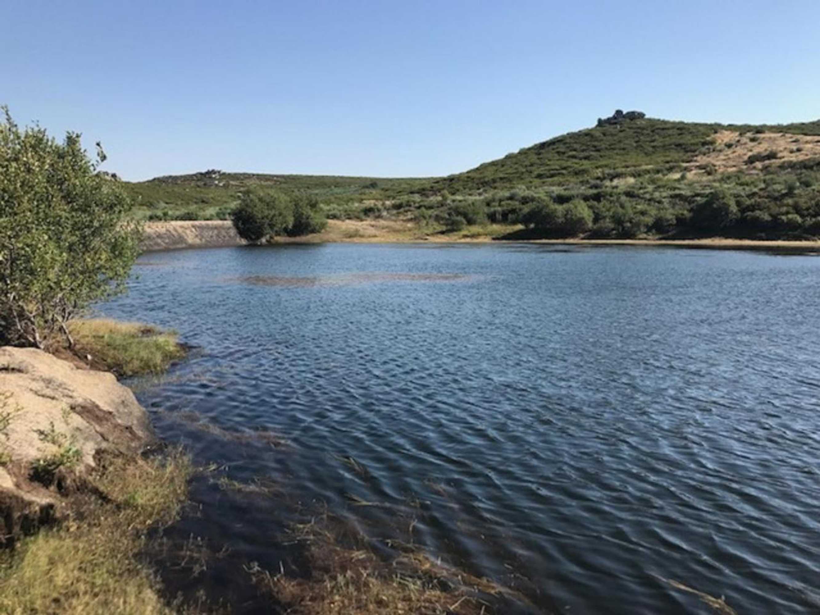 Gift card for Quinchoso Dos Bentos