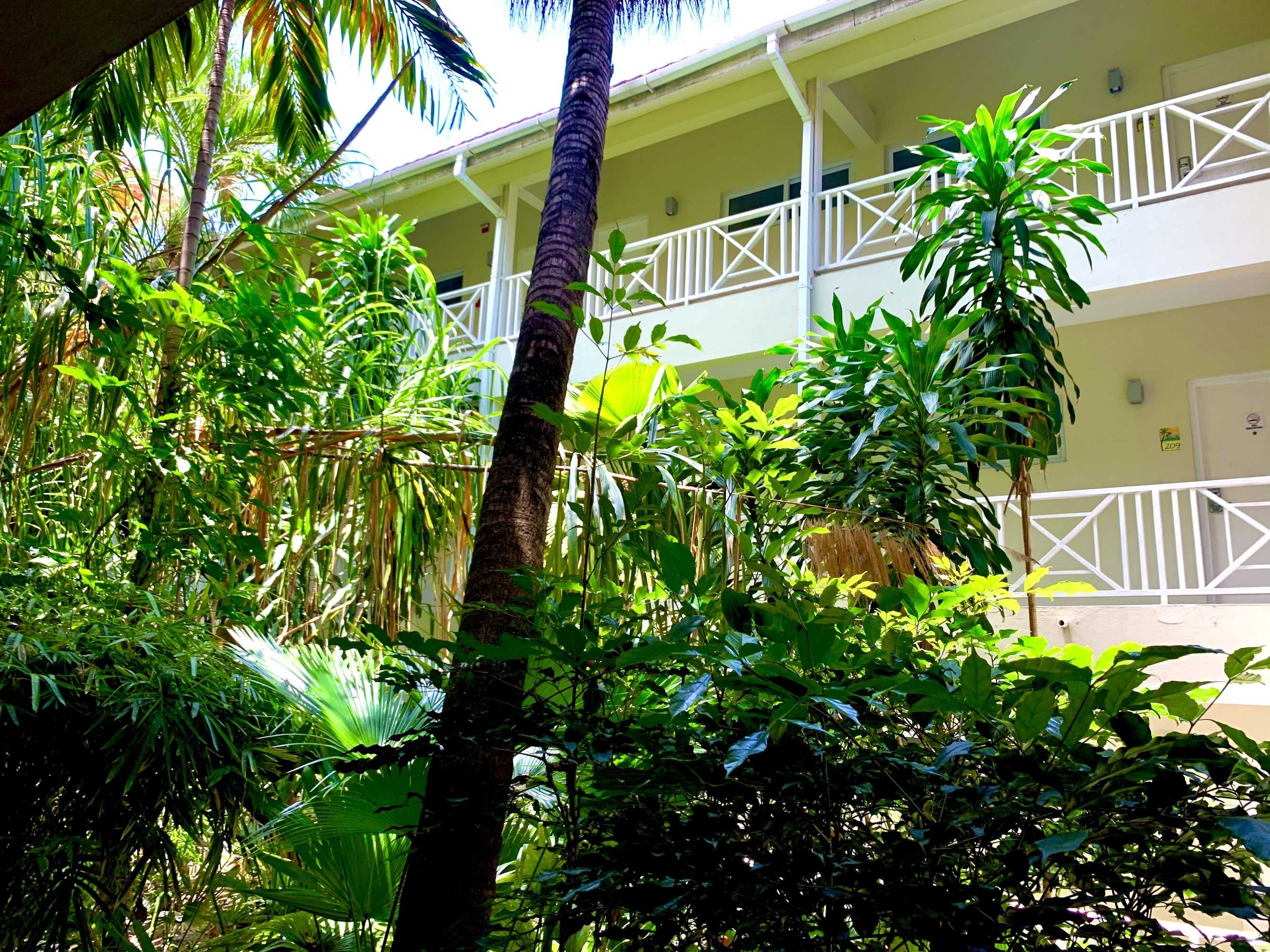 Gift card for Altamont Court Hotel Gift card for Altamont Court Hotel