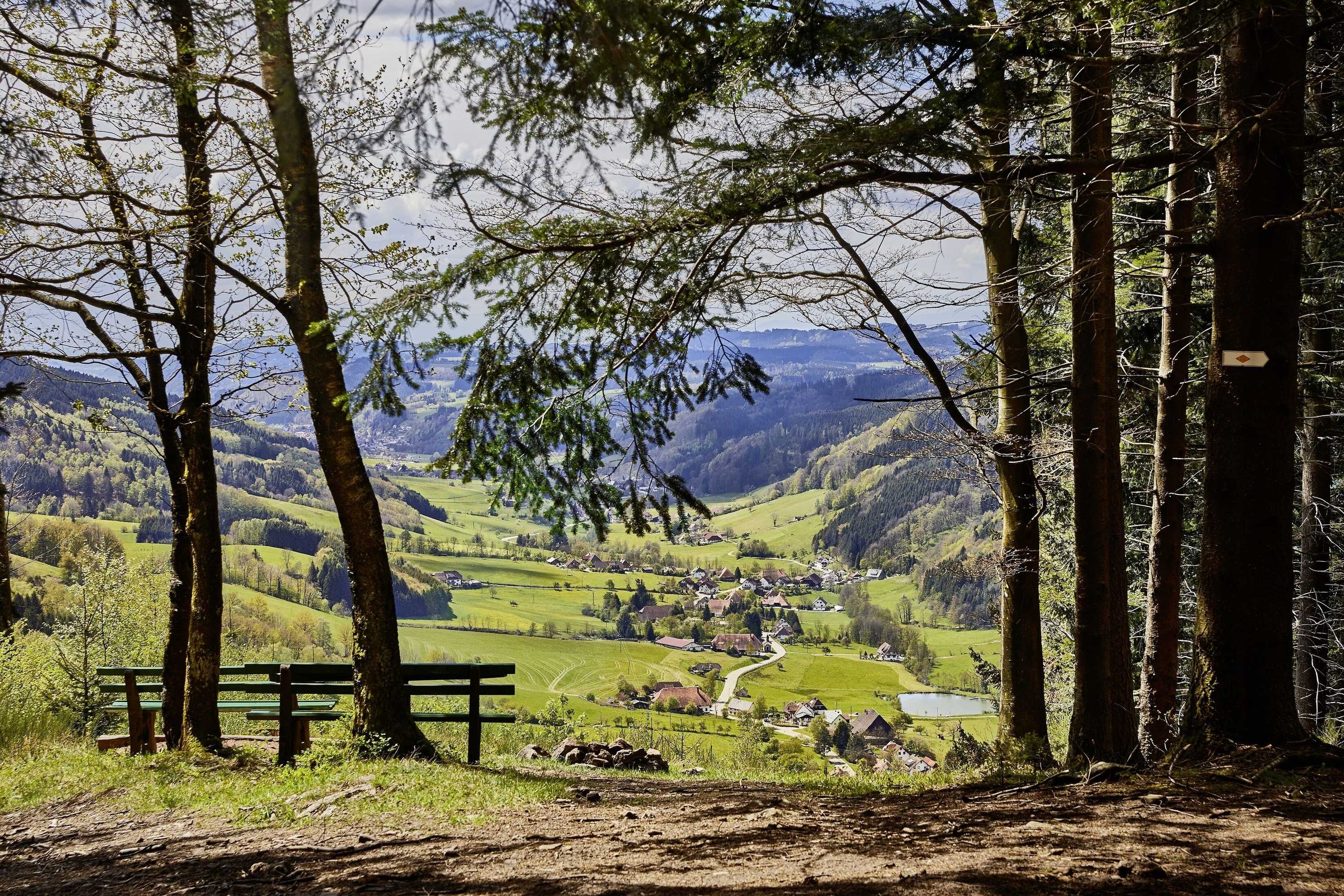 Gift card for Elzland Hotel Pfauen Wellness & Spa