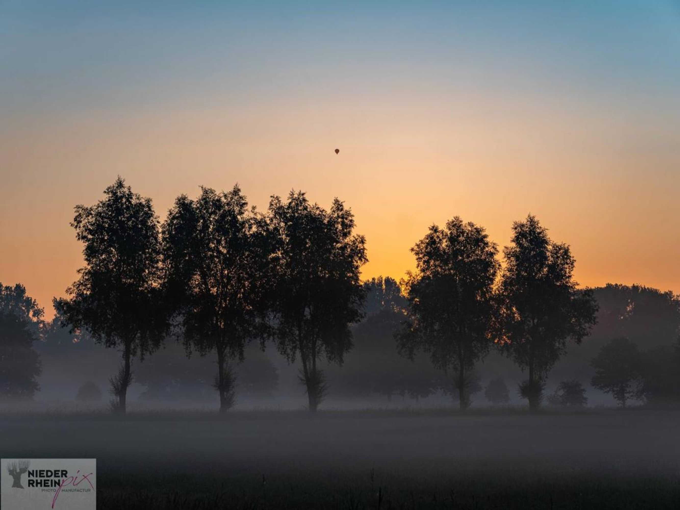 Gift card for Genholter Hof