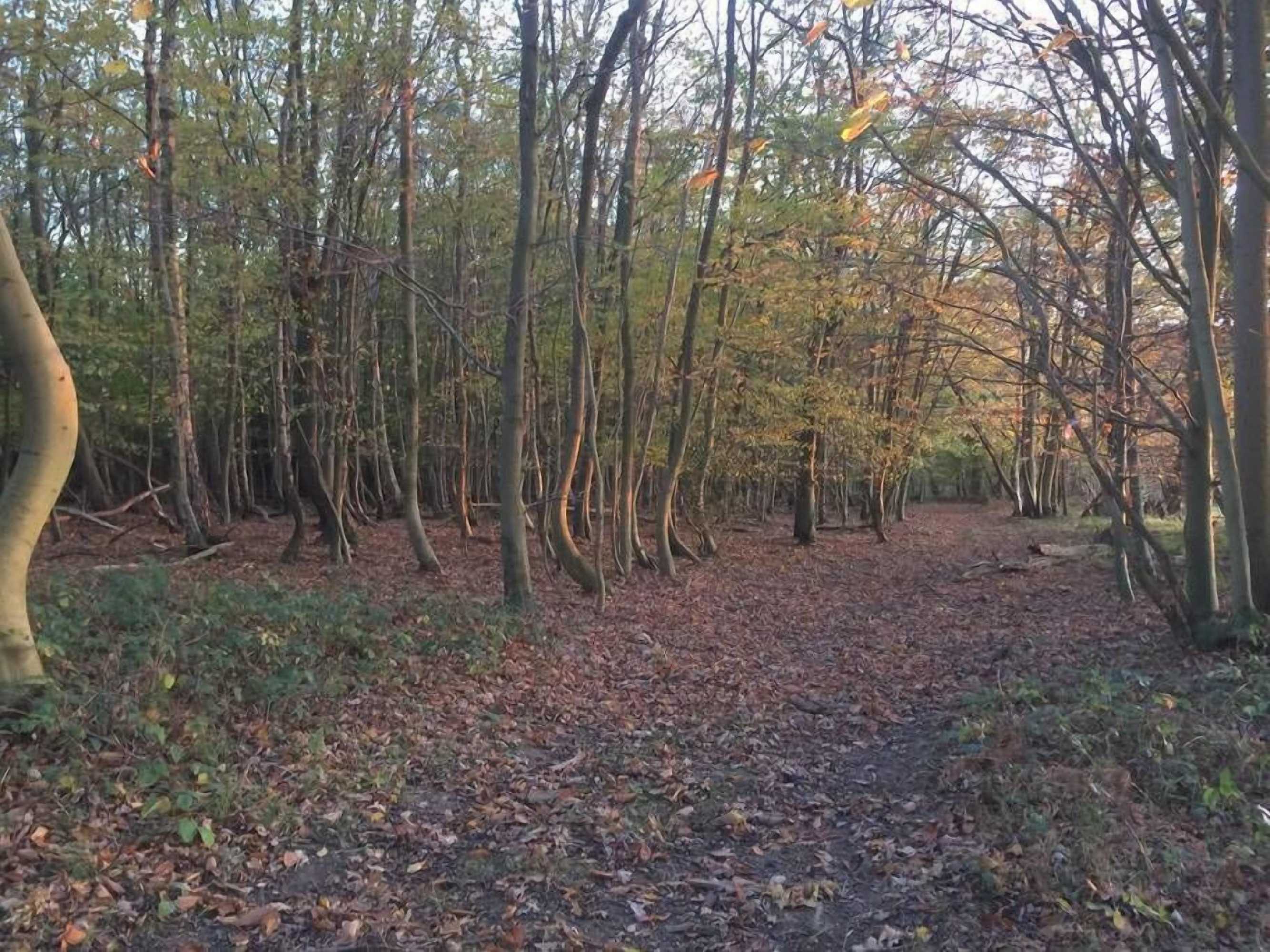 Gift card for Oak House Farm