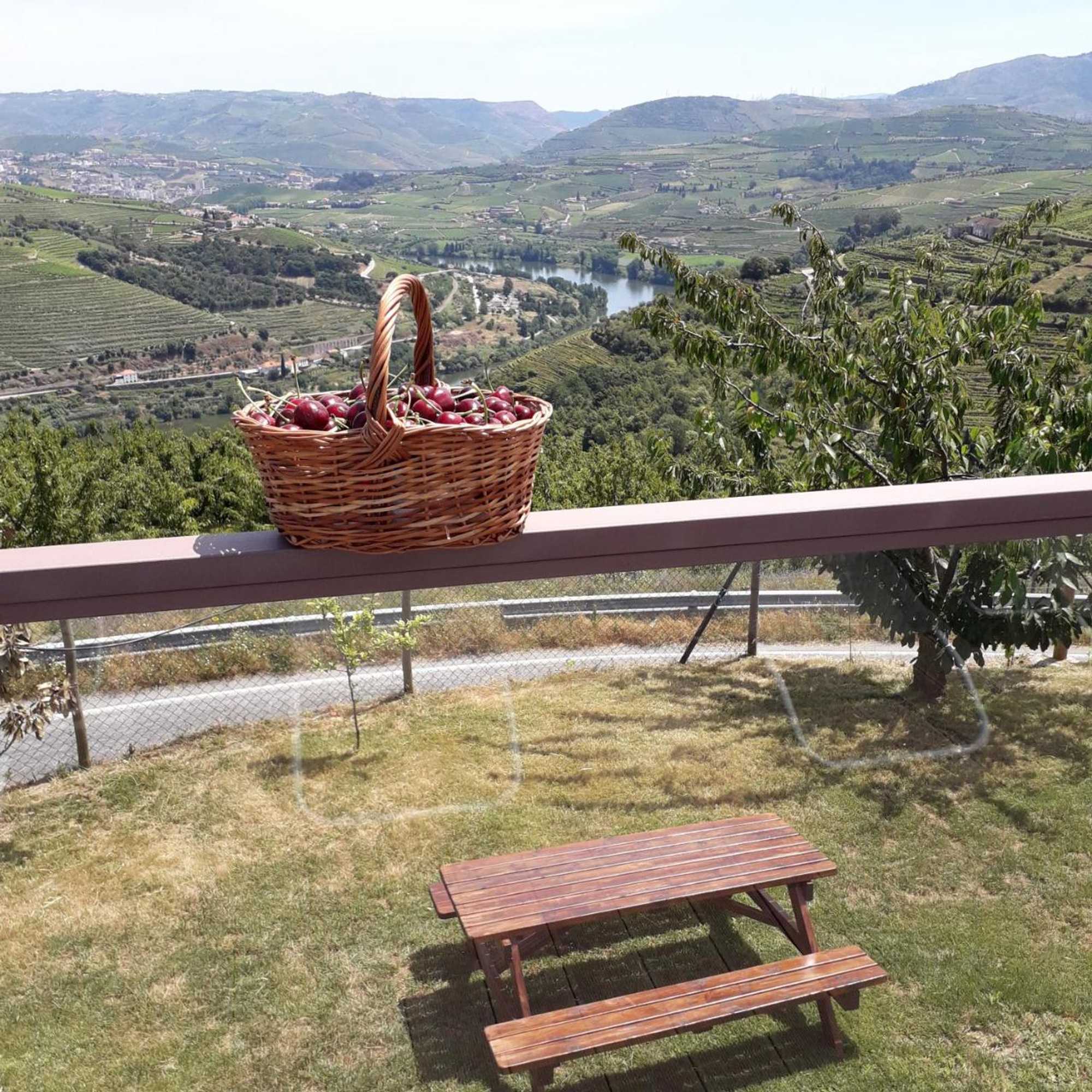 Gift card for Quinta do Pombal Douro