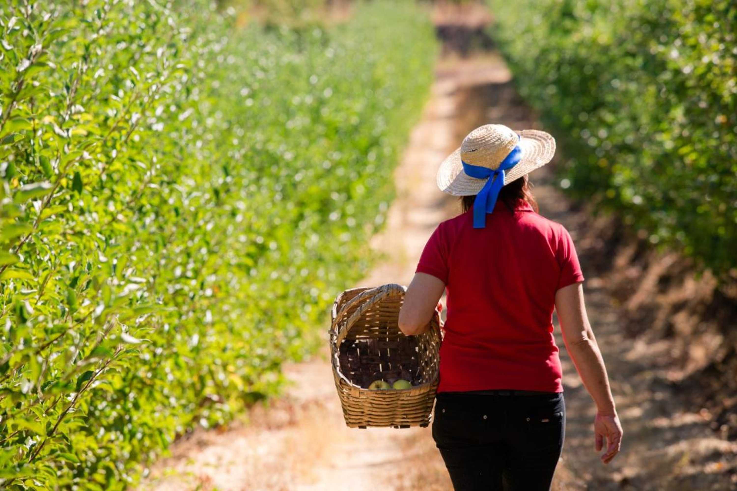 Gift card for Quinta da Barroca Douro Valley