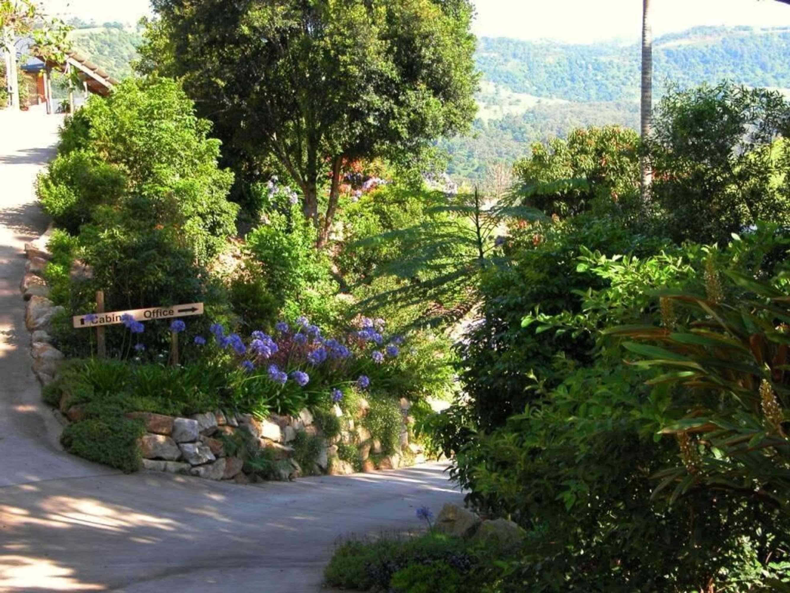 Gift card for Top of The Hill Gift card for Top of The Hill