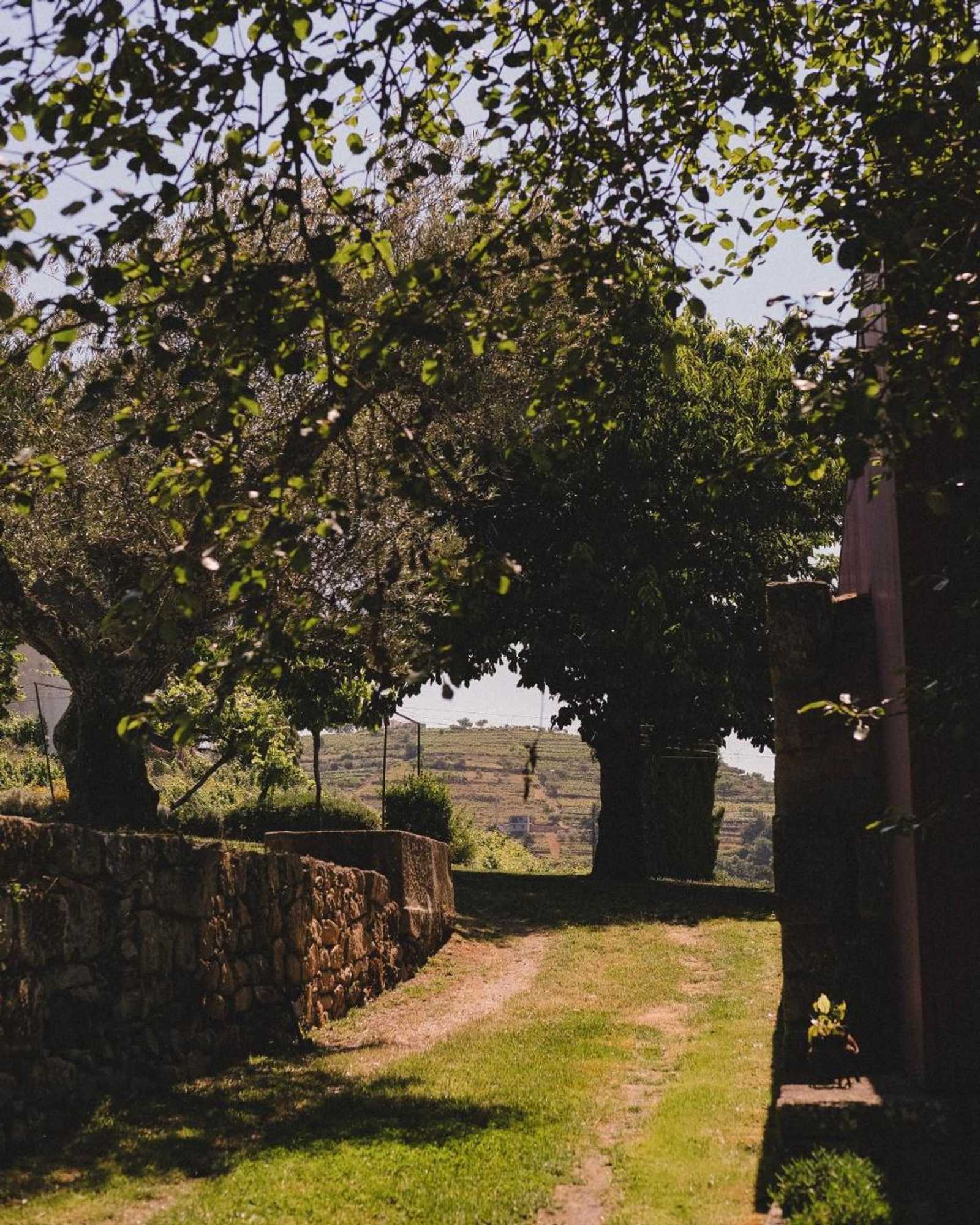 Gift card for Casal De Tralhariz Gift card for Casal De Tralhariz