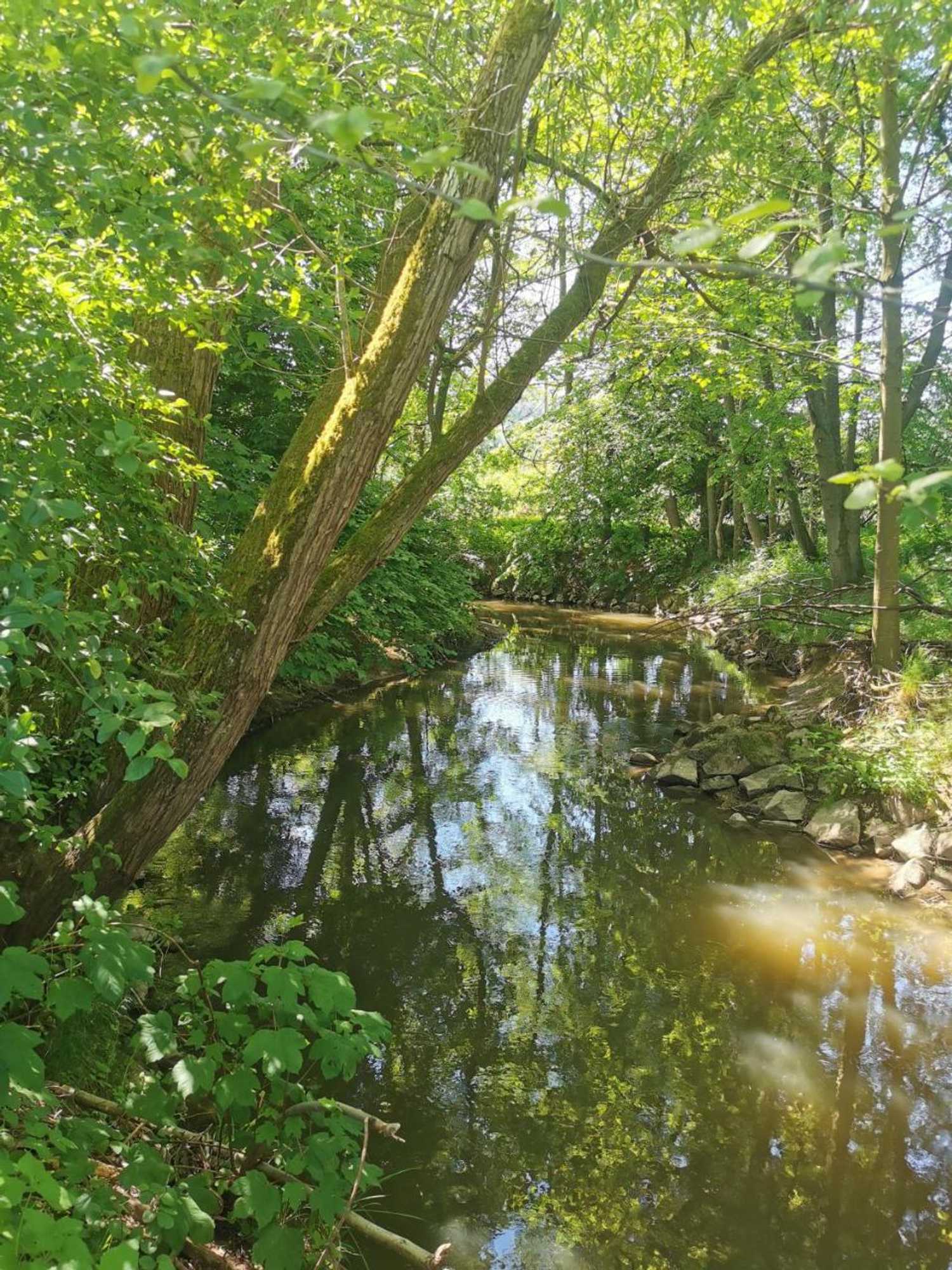 Gift card for Landhotel Ölmühle