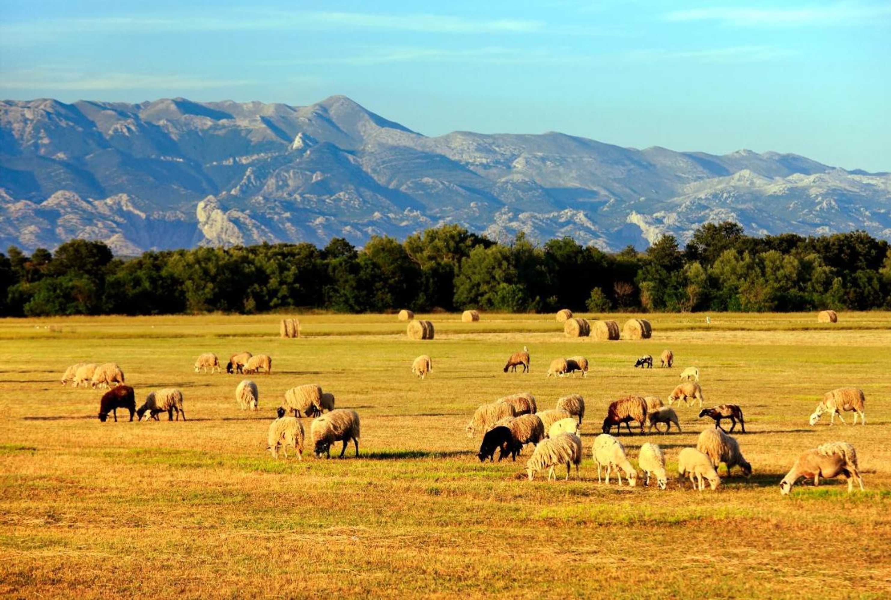 Gift card for Villa Marina