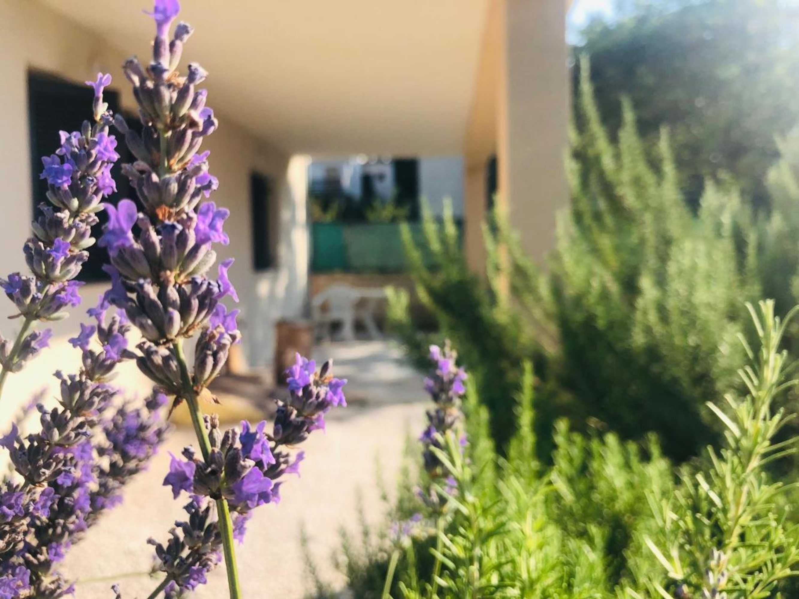 Gift card for Apartments Branka