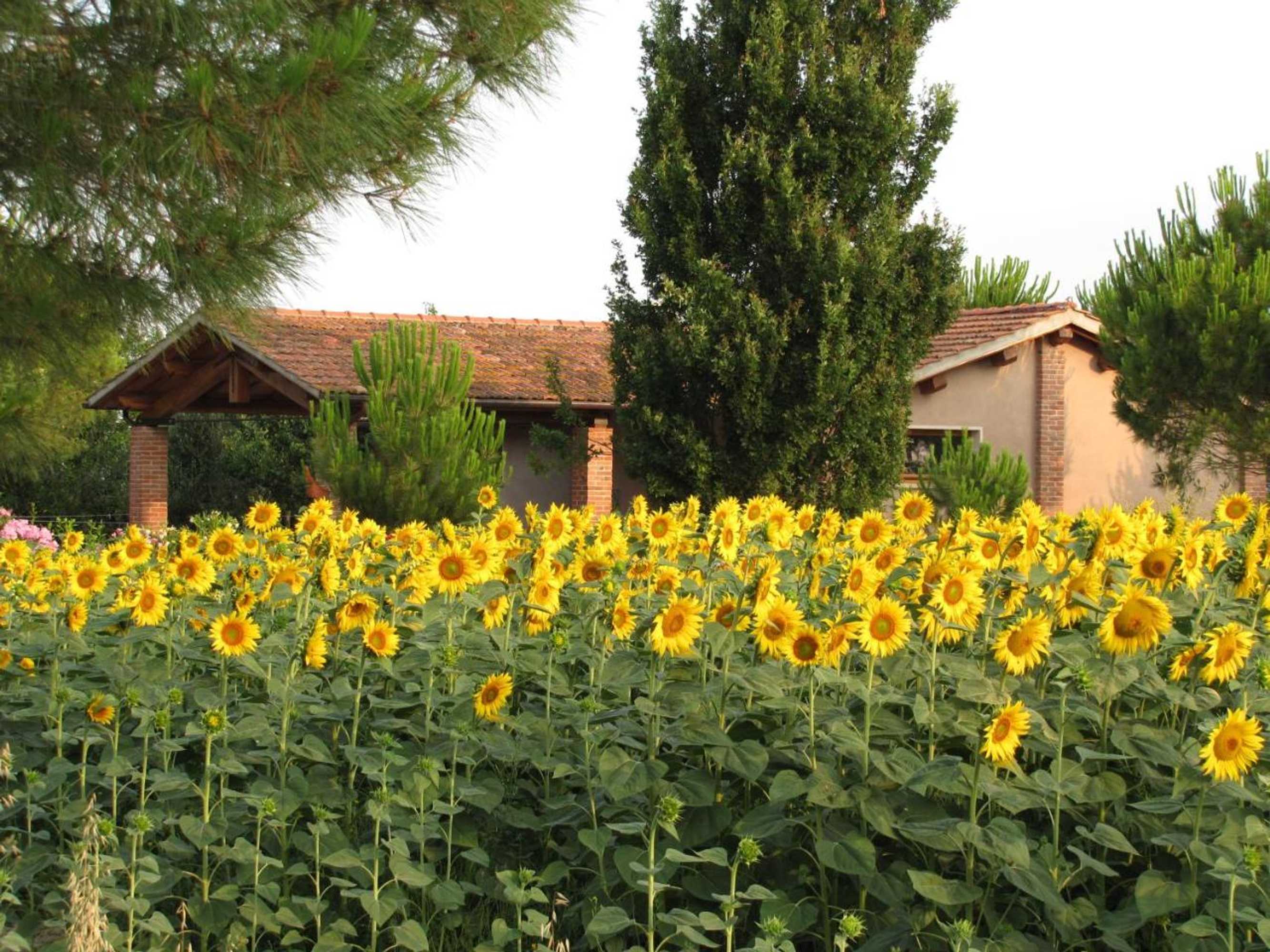 Gift card for Agriturismo Salcino