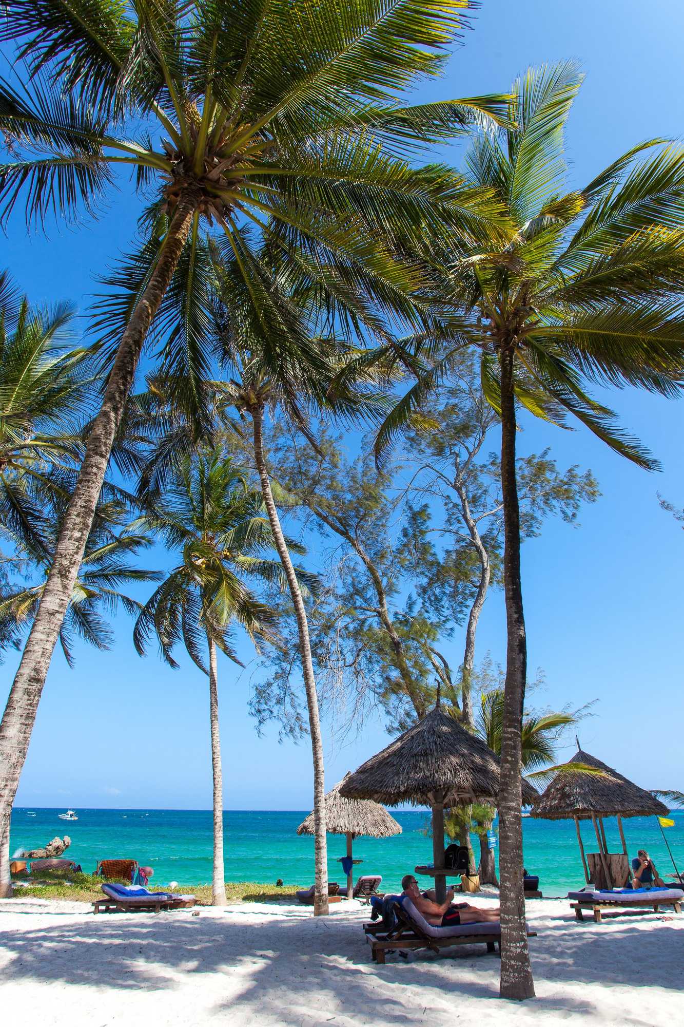 Gift card for Turtle Bay Beach Club Gift card for Turtle Bay Beach Club