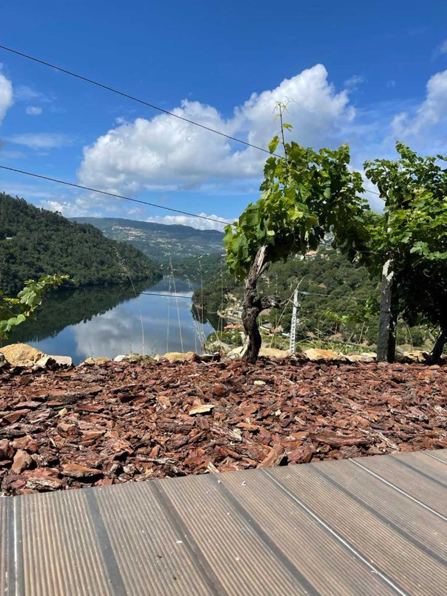 Gift card for Quinta Vale do Cabo