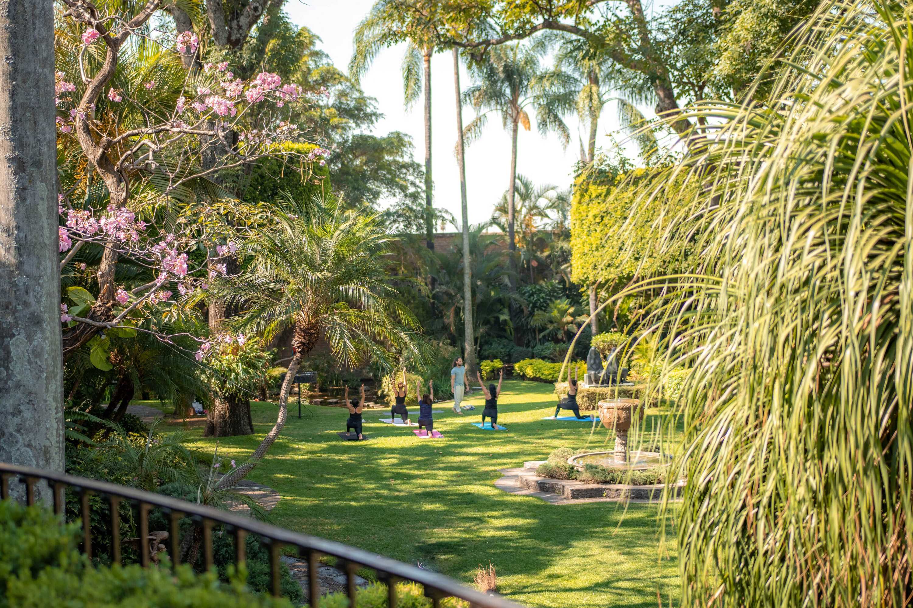 Gift card for Las Mananitas Hotel Garden Restaurant And Spa Gift card for Las Mananitas Hotel Garden Restaurant And Spa