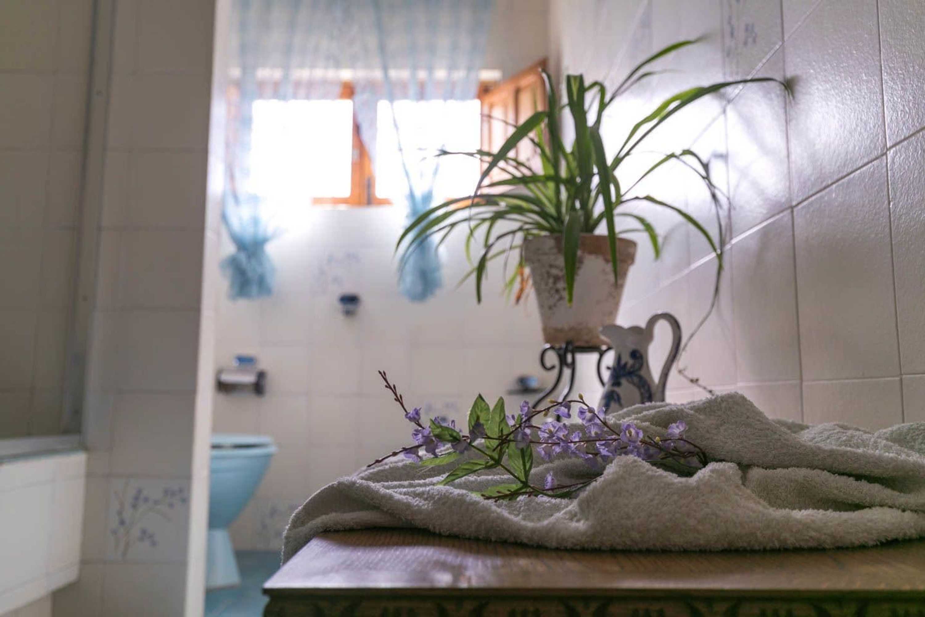 Gift card for Finca Del Valle