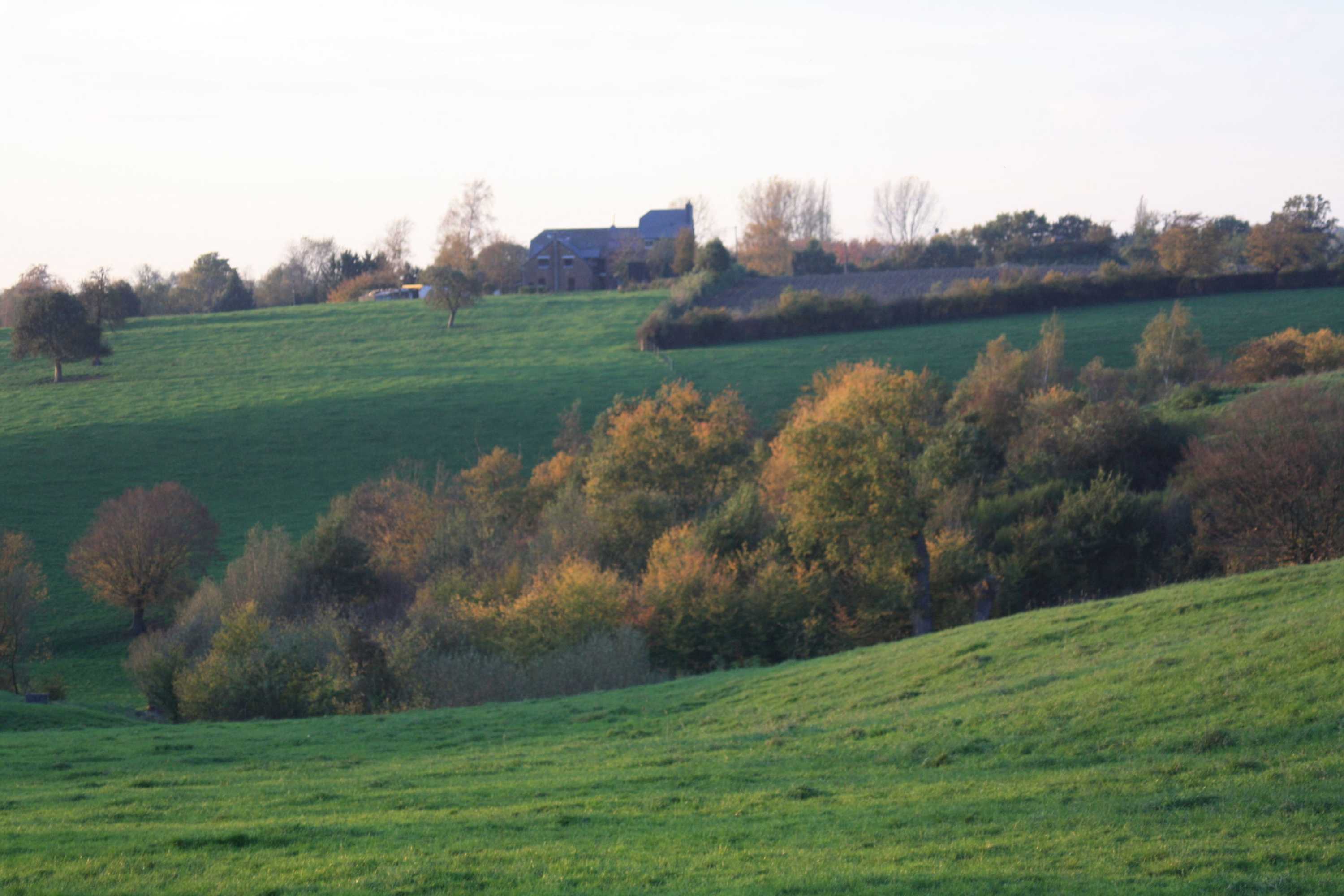 Gift card for Ô Macra