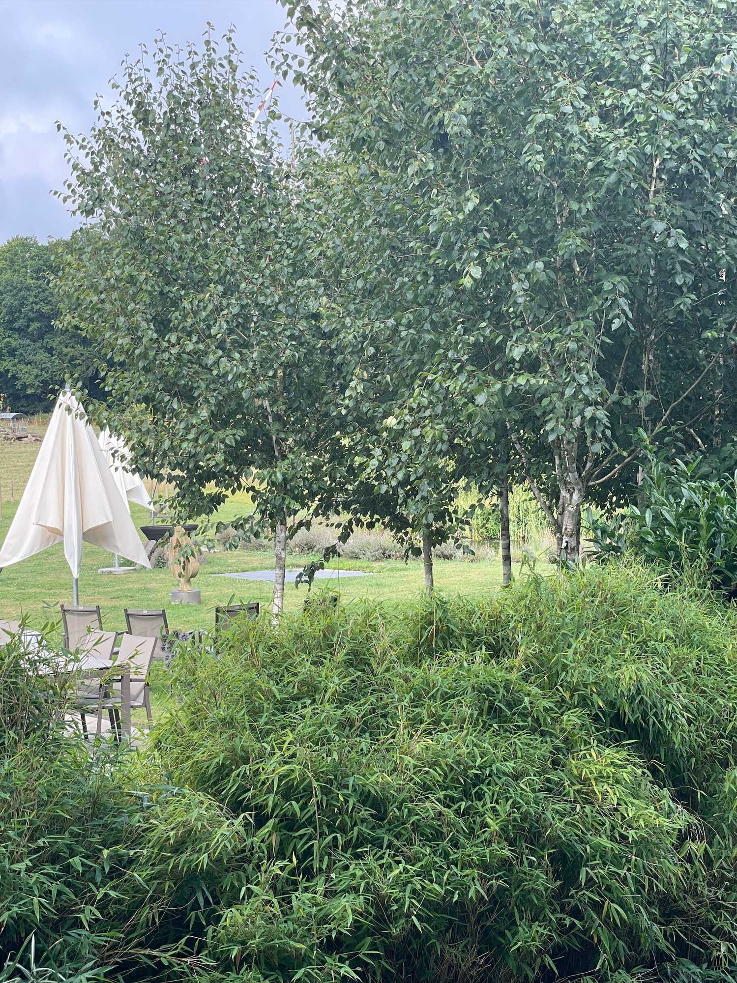 Gift card for Landidyll Hotel-Restaurant Birkenhof