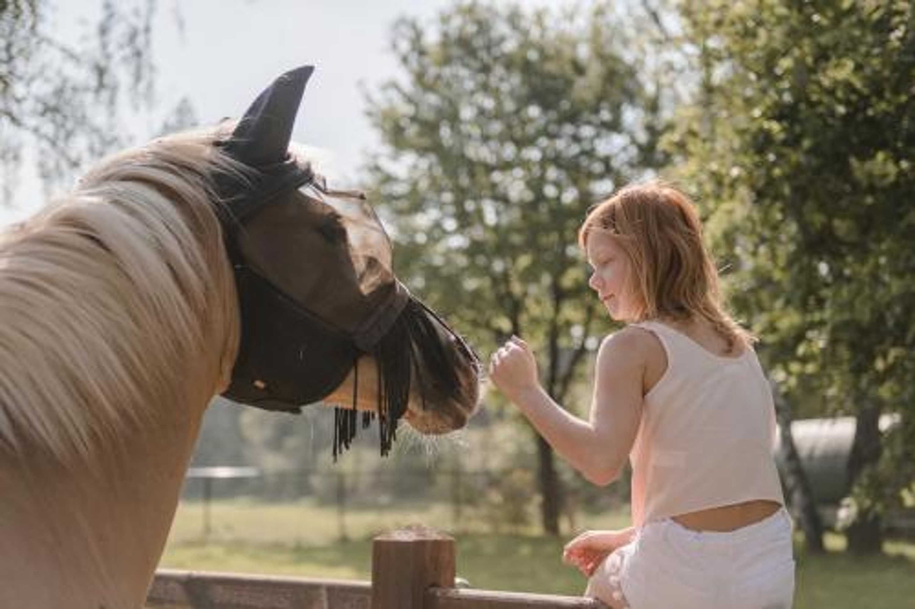 Gift card for #glamping@de Verloren Sinjoor Gift card for #glamping@de Verloren Sinjoor