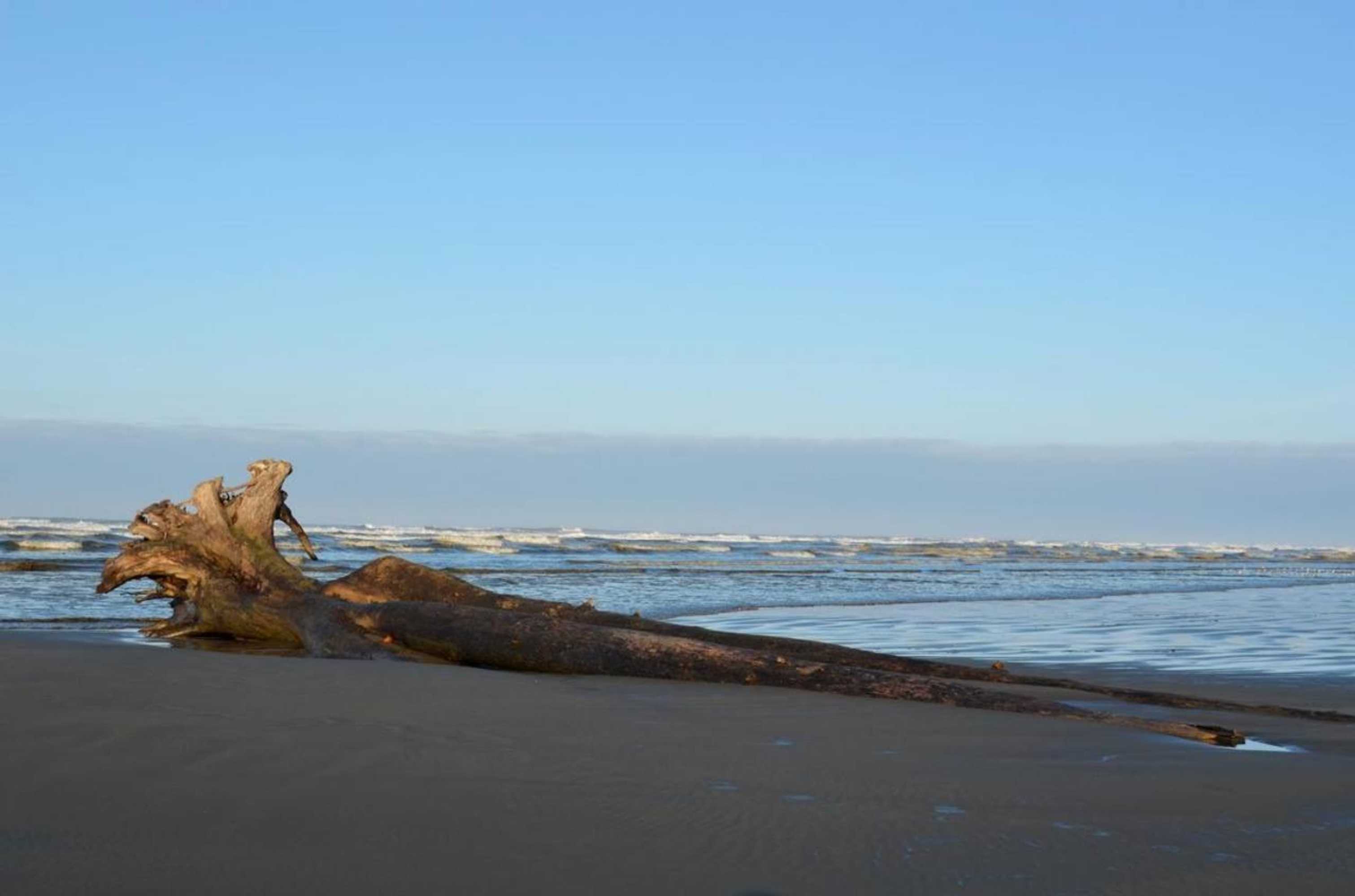 Gift card for The Lowtide Motel