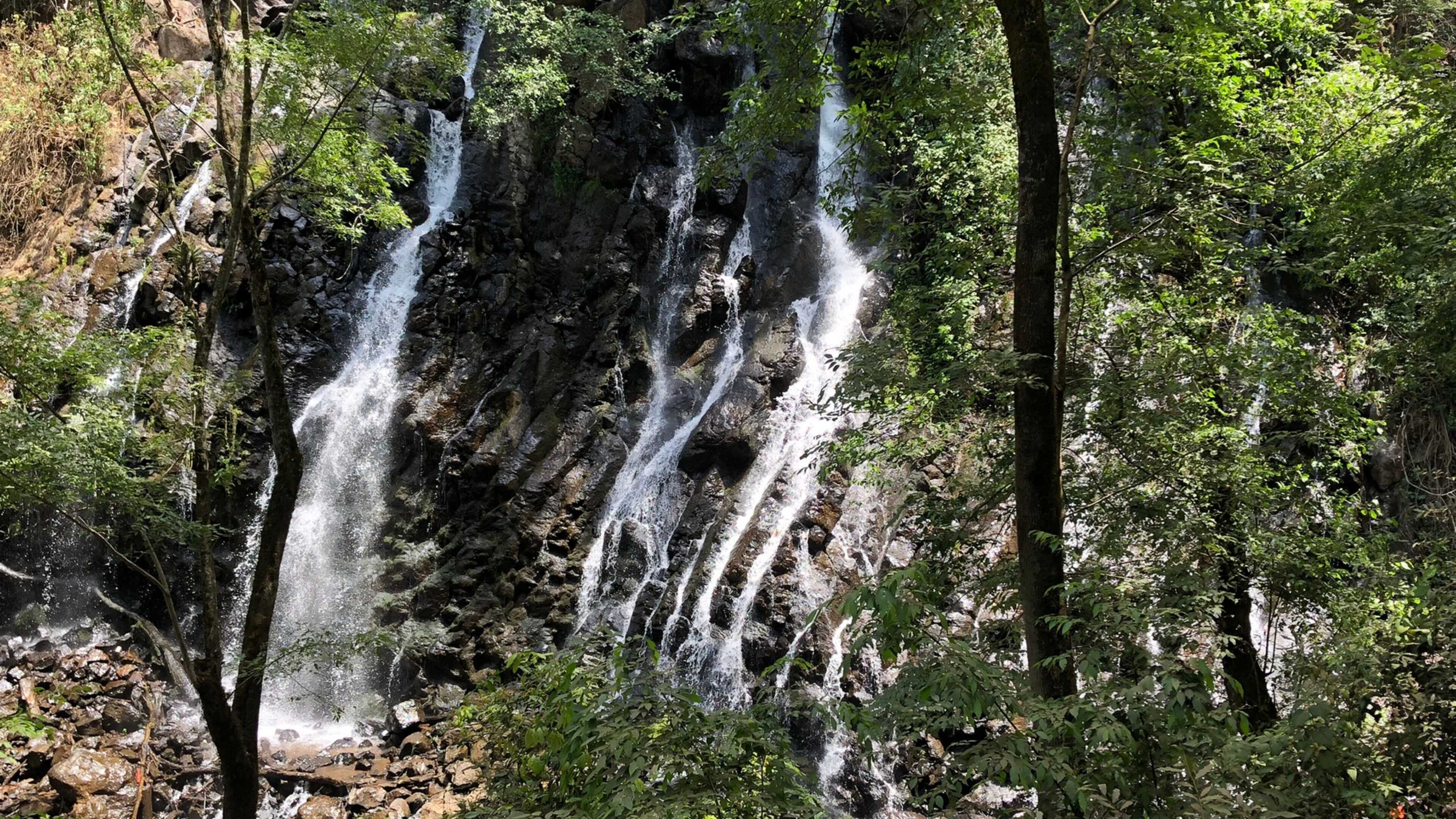 Gift card for Chalet