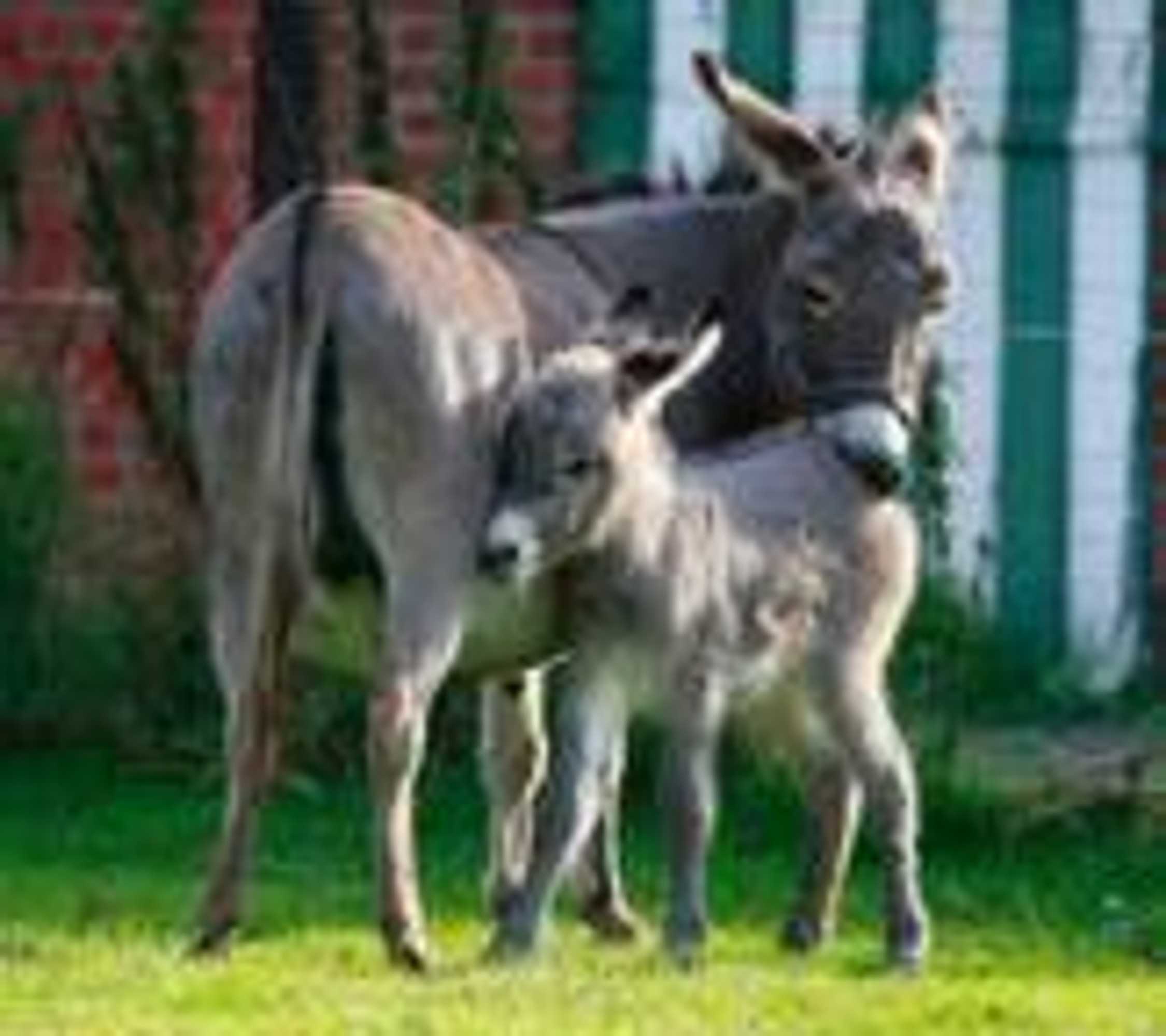 Gift card for De Sneppelhoeve B&b