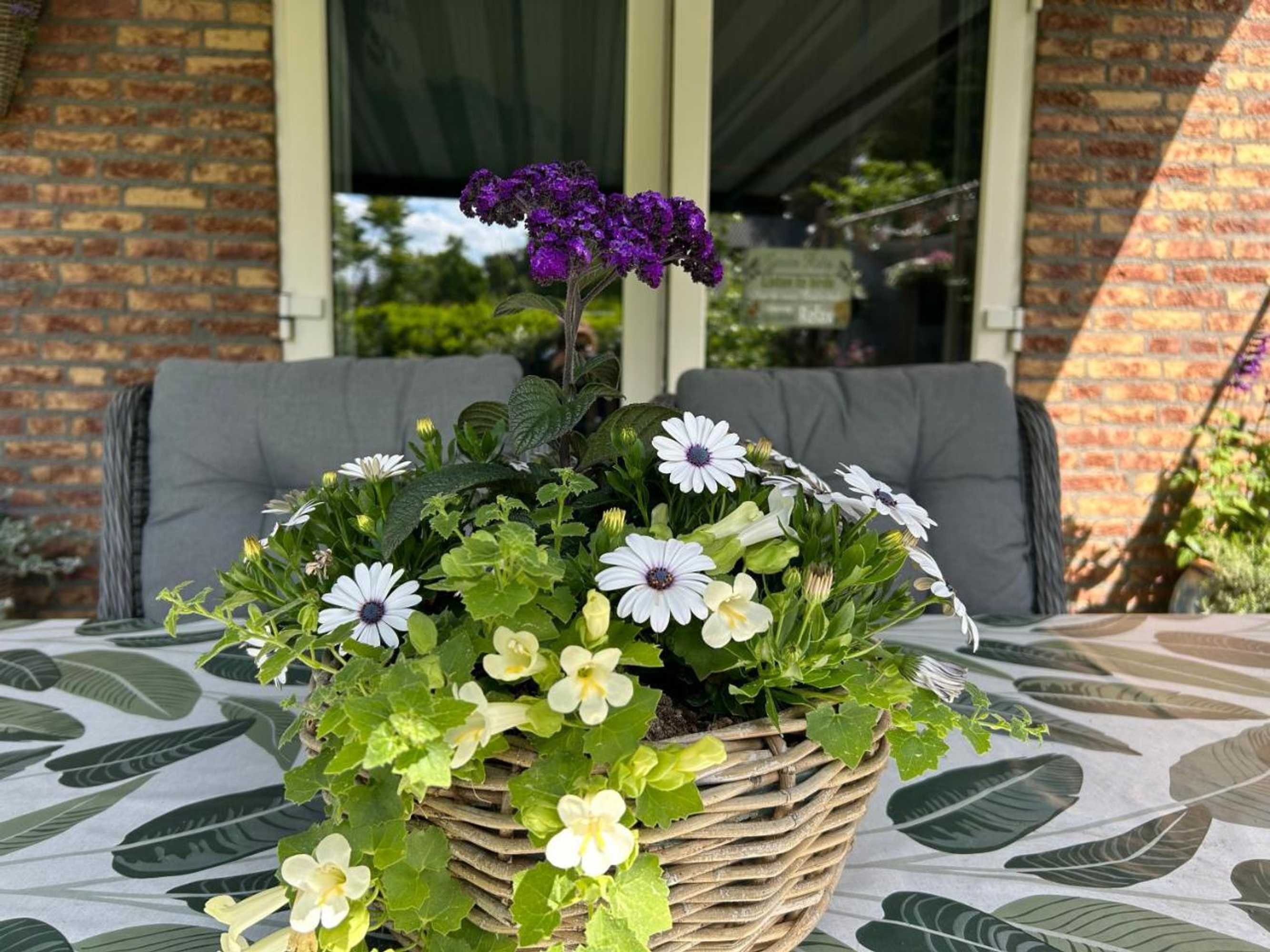 Gift card for Bed&breakfast Kamersven