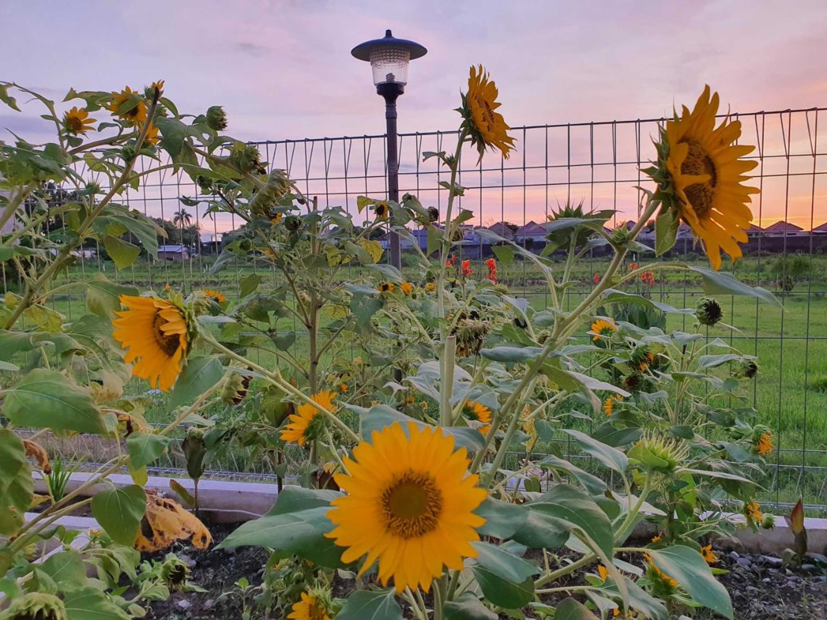 Gift card for Cerah Hotel