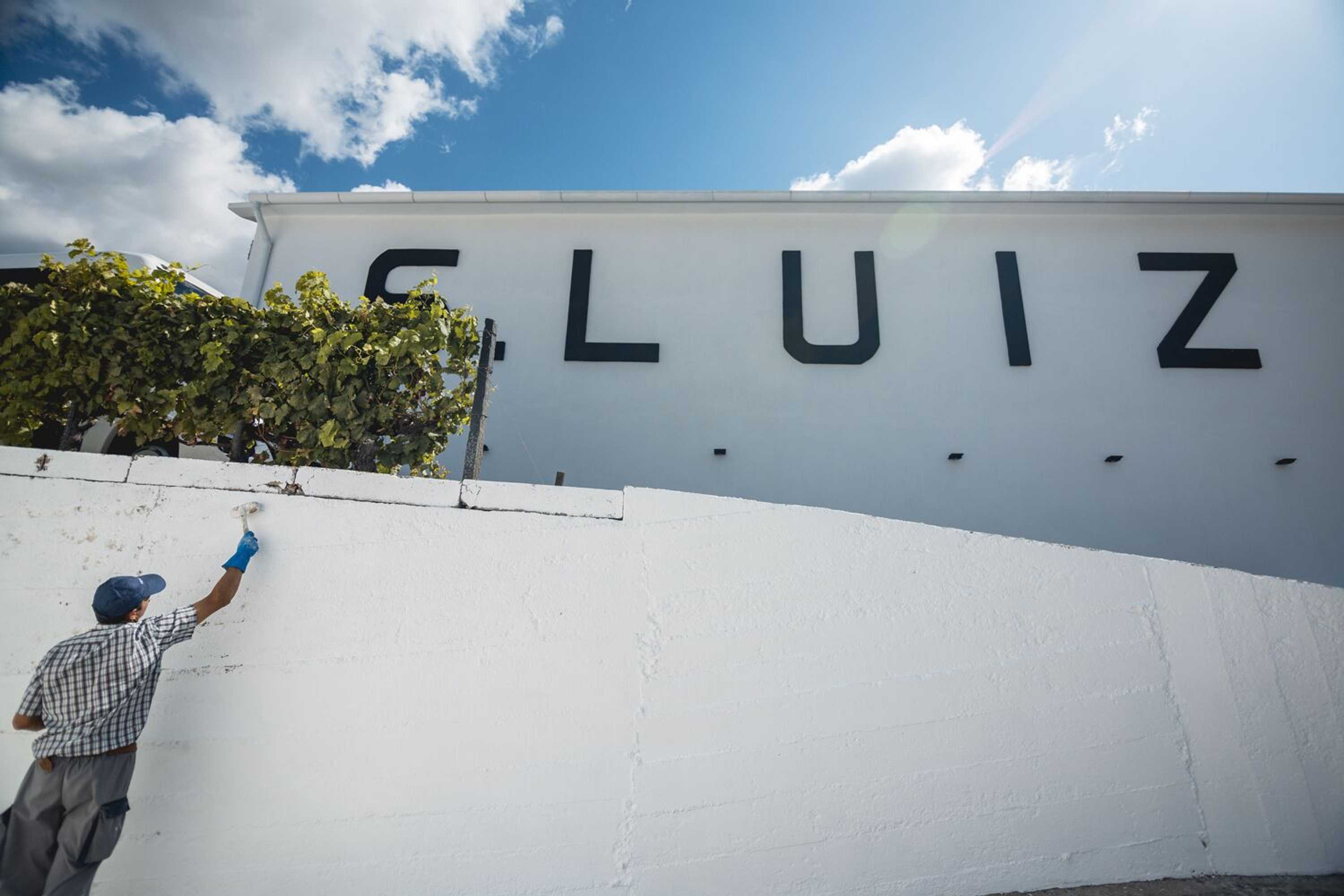 Gift card for Quinta de São Luiz The Vine House