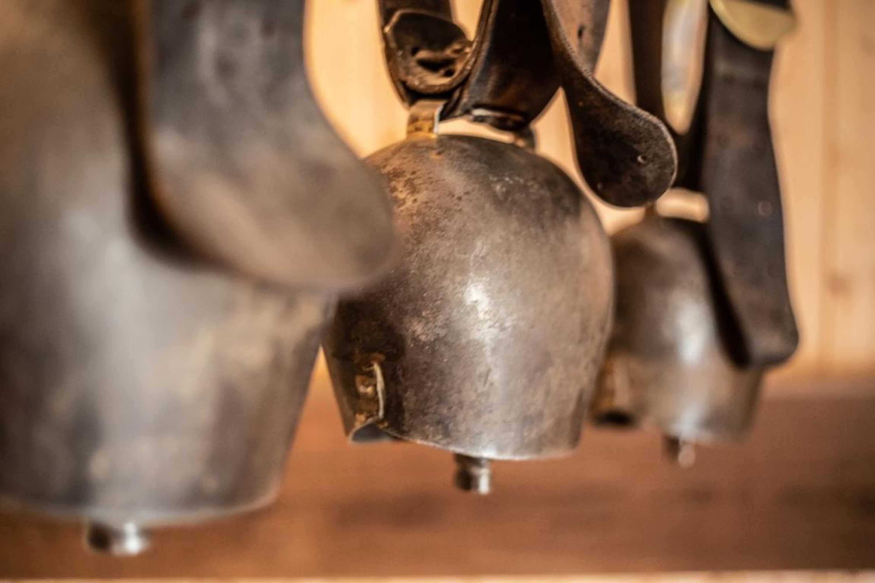 Gift card for Hof-Tschannen