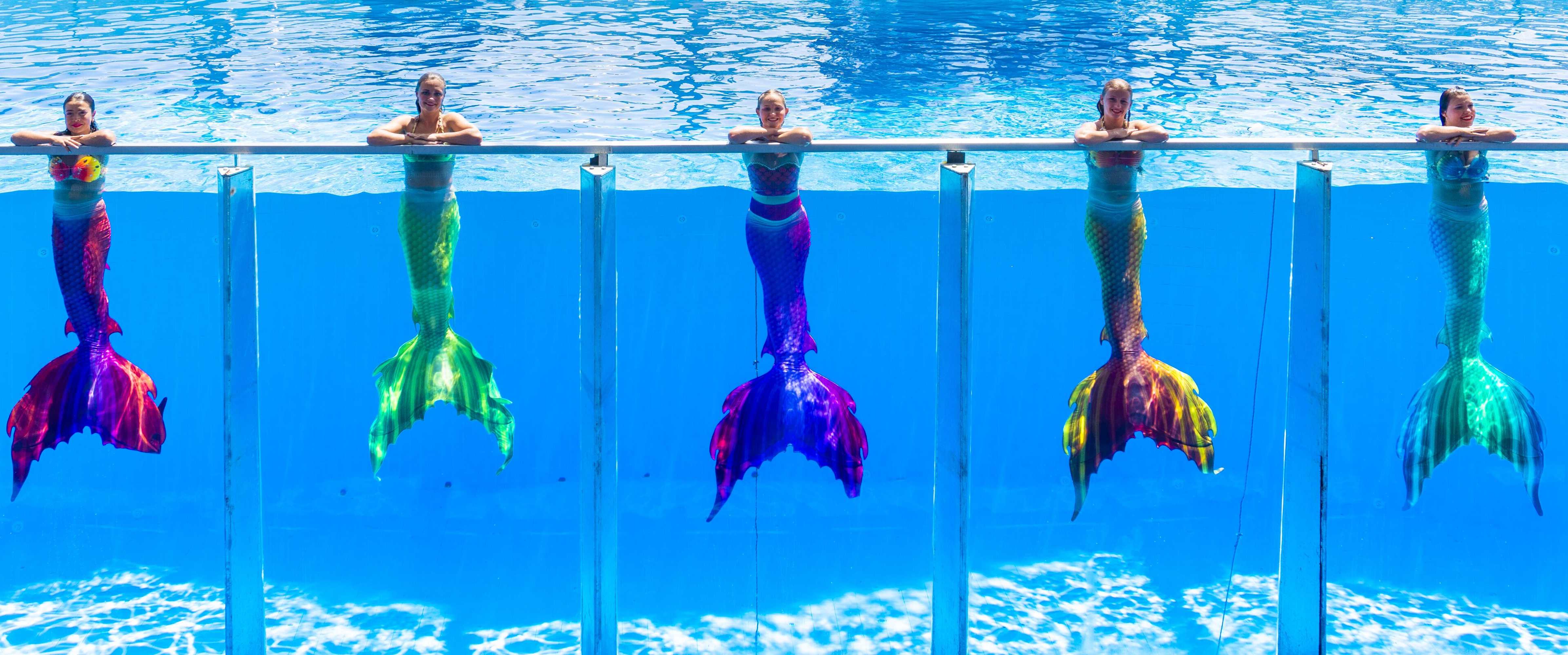 Gift card for Daima Biz Hotel - Dolusu Aquapark Access Gift card for Daima Biz Hotel - Dolusu Aquapark Access