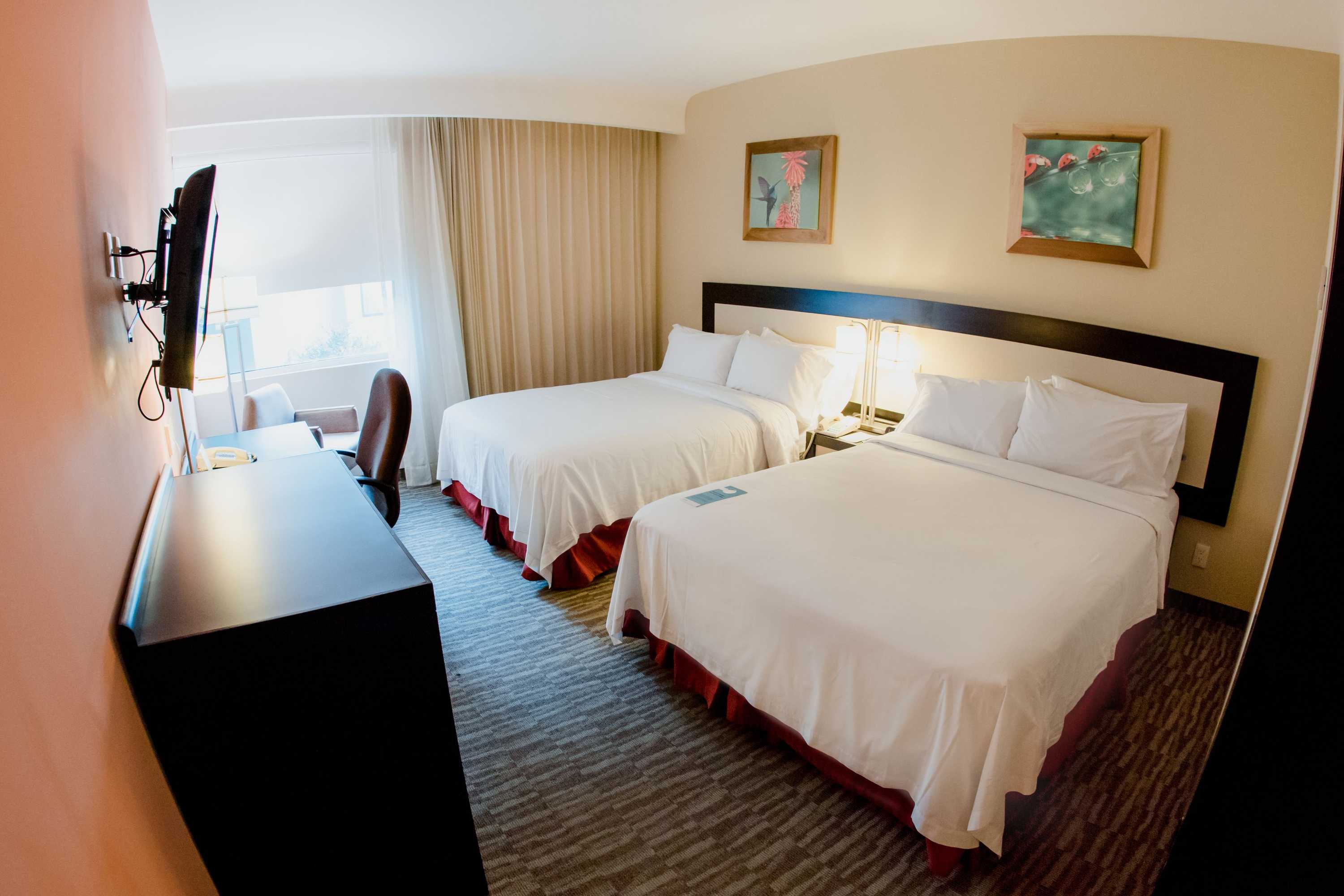 Gift card for Excellence Express San Juan Del Río Gift card for Excellence Express San Juan Del Río