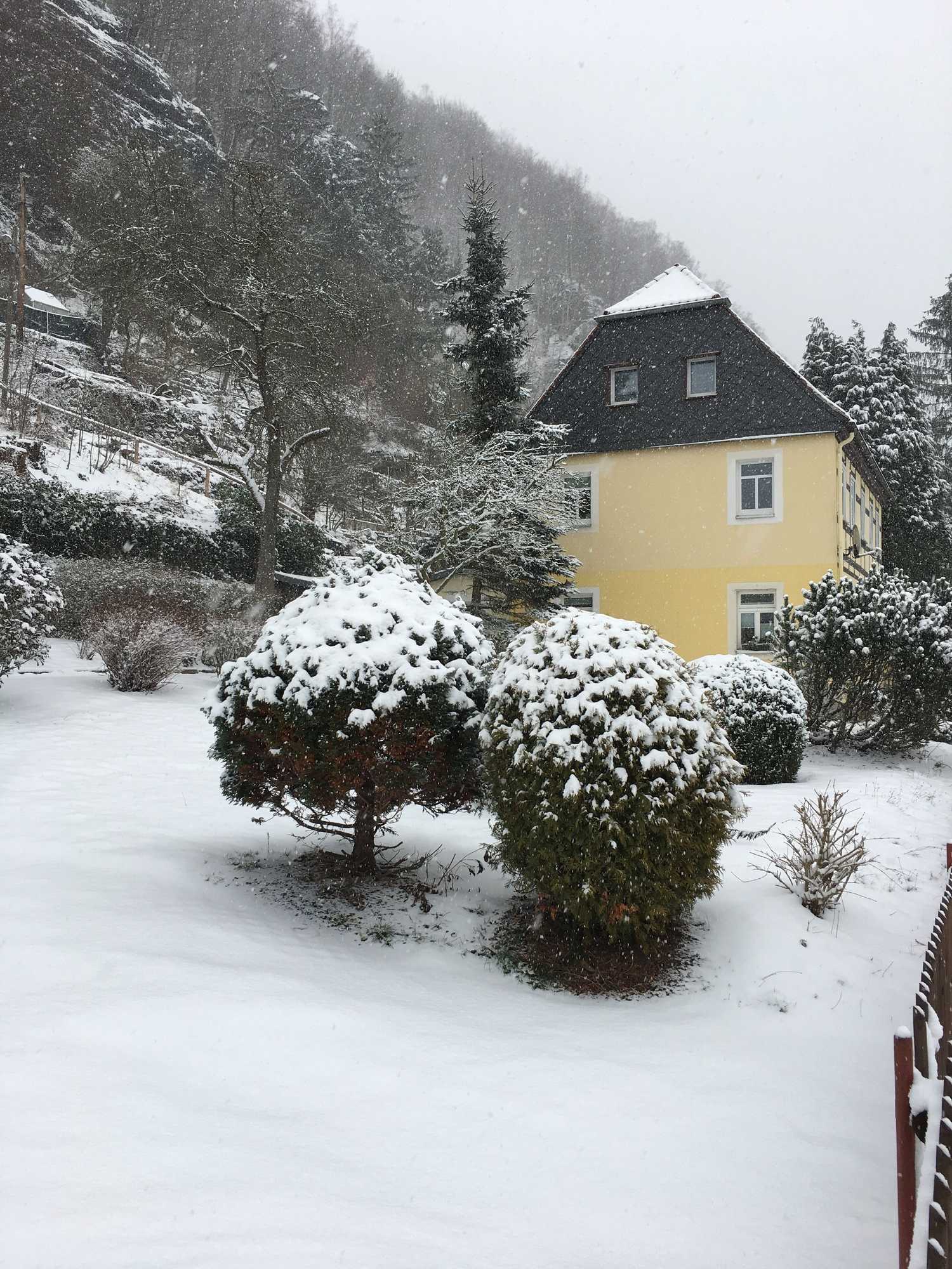 Gift card for Ferienhaus Elbufer 83