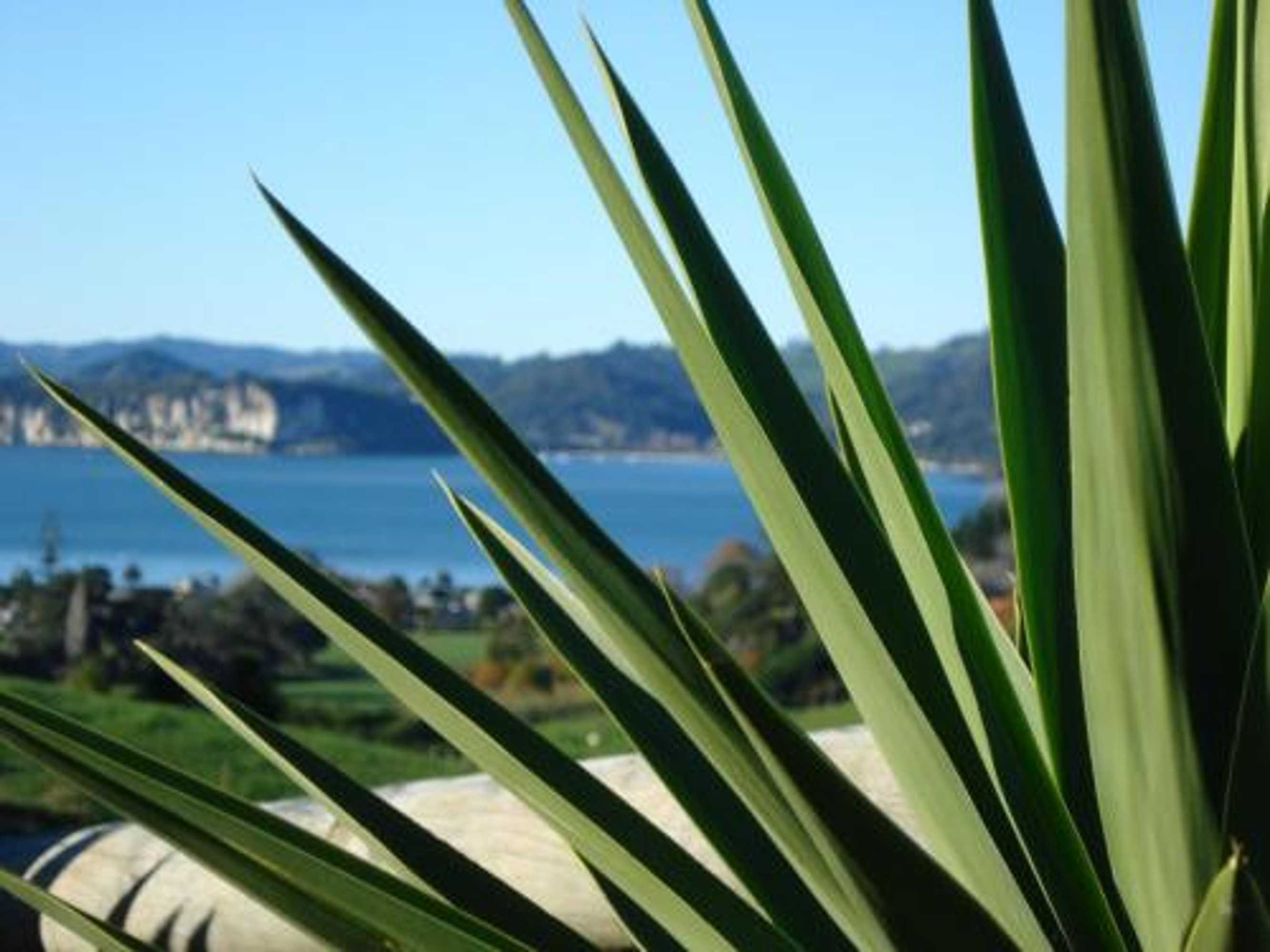 Gift card for Ohuka Place Homestay Gift card for Ohuka Place Homestay