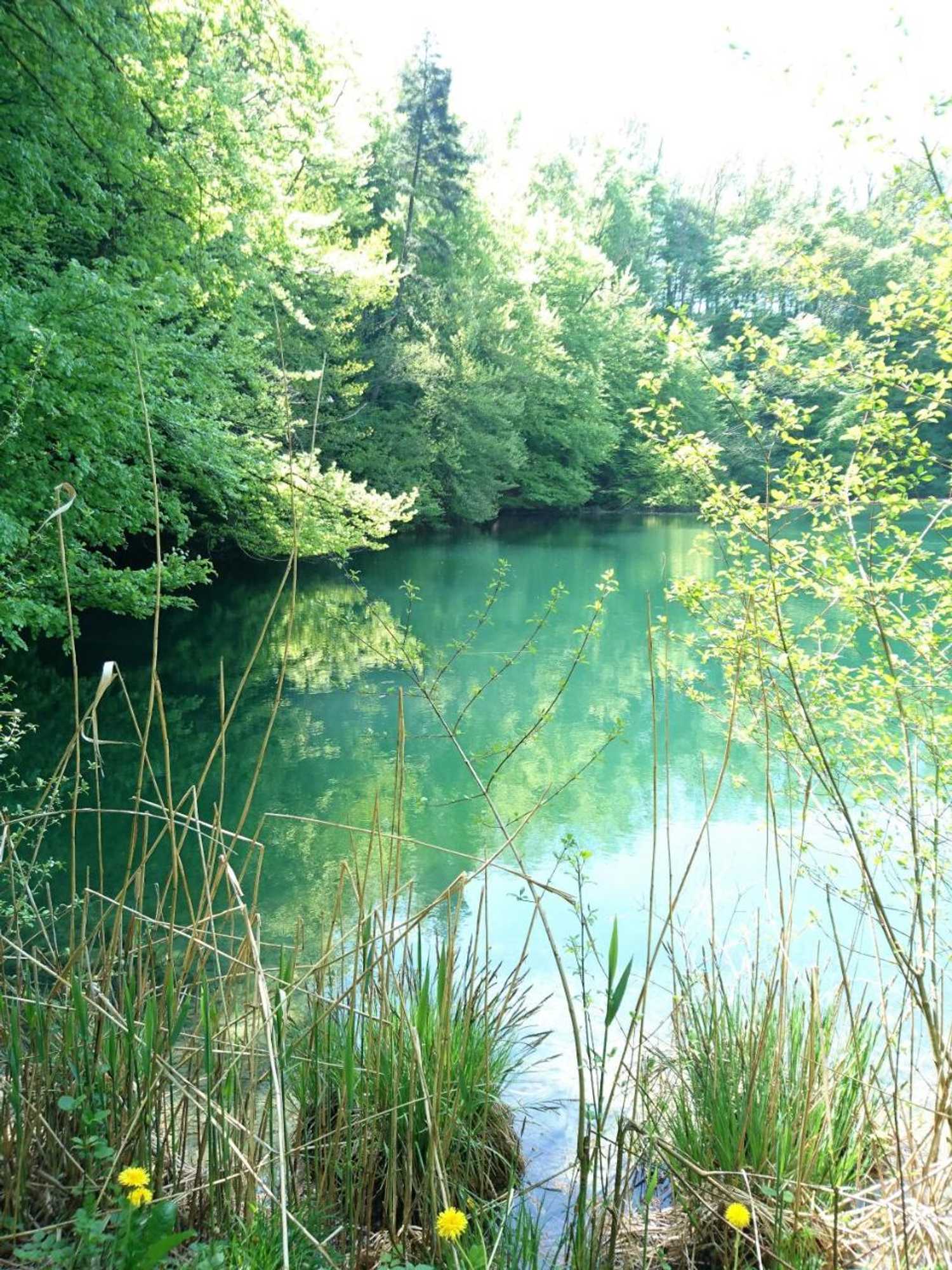 Gift card for Gasthaus Zum Ochsen