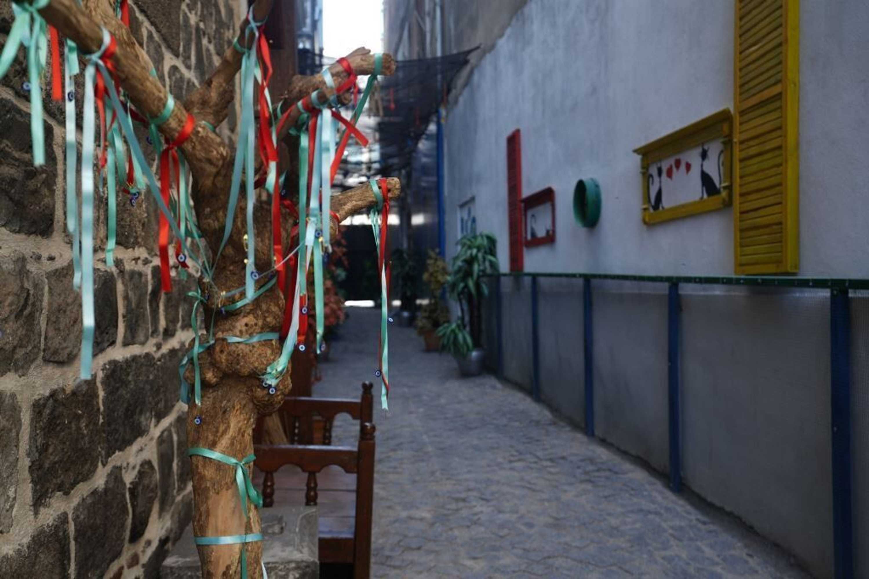 Gift card for The Green Park Diyarbakir Gift card for The Green Park Diyarbakir
