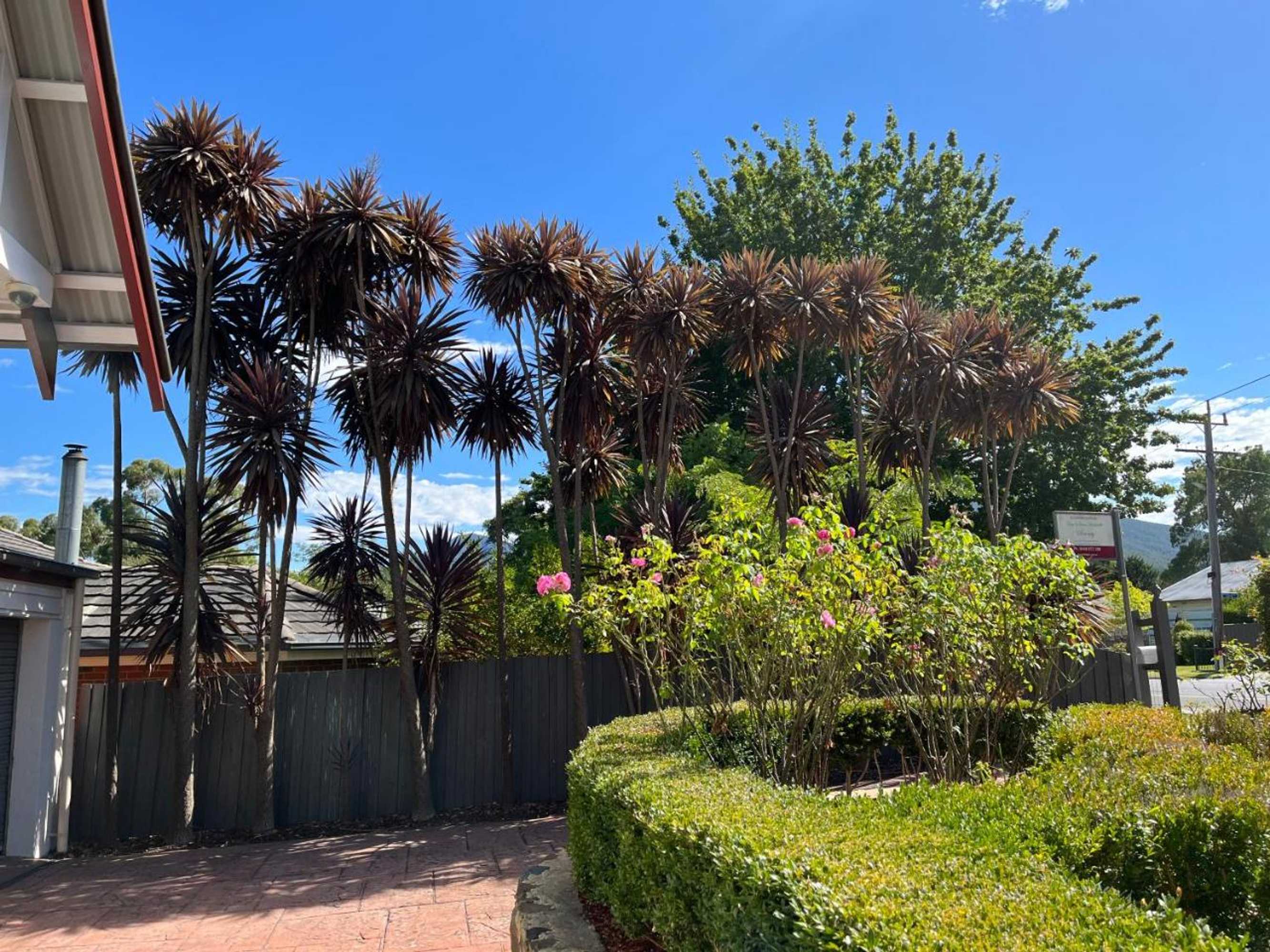 Gift card for Serenity@healesville