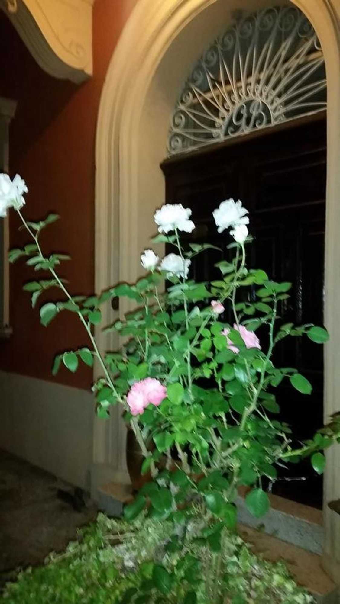 Gift card for B&b Villa Storica Calderino Gift card for B&b Villa Storica Calderino